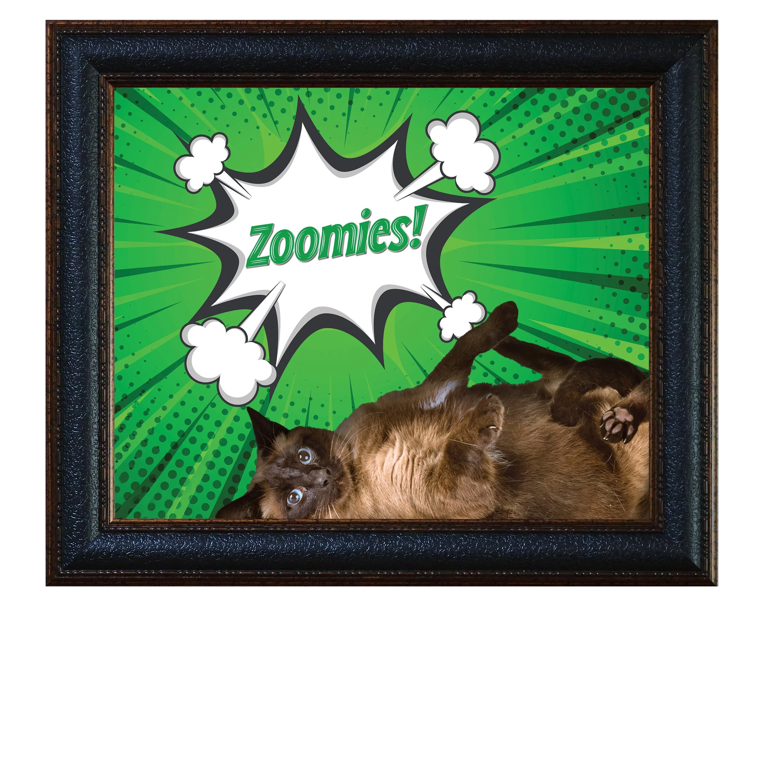 Zoomies-CAT.jpg