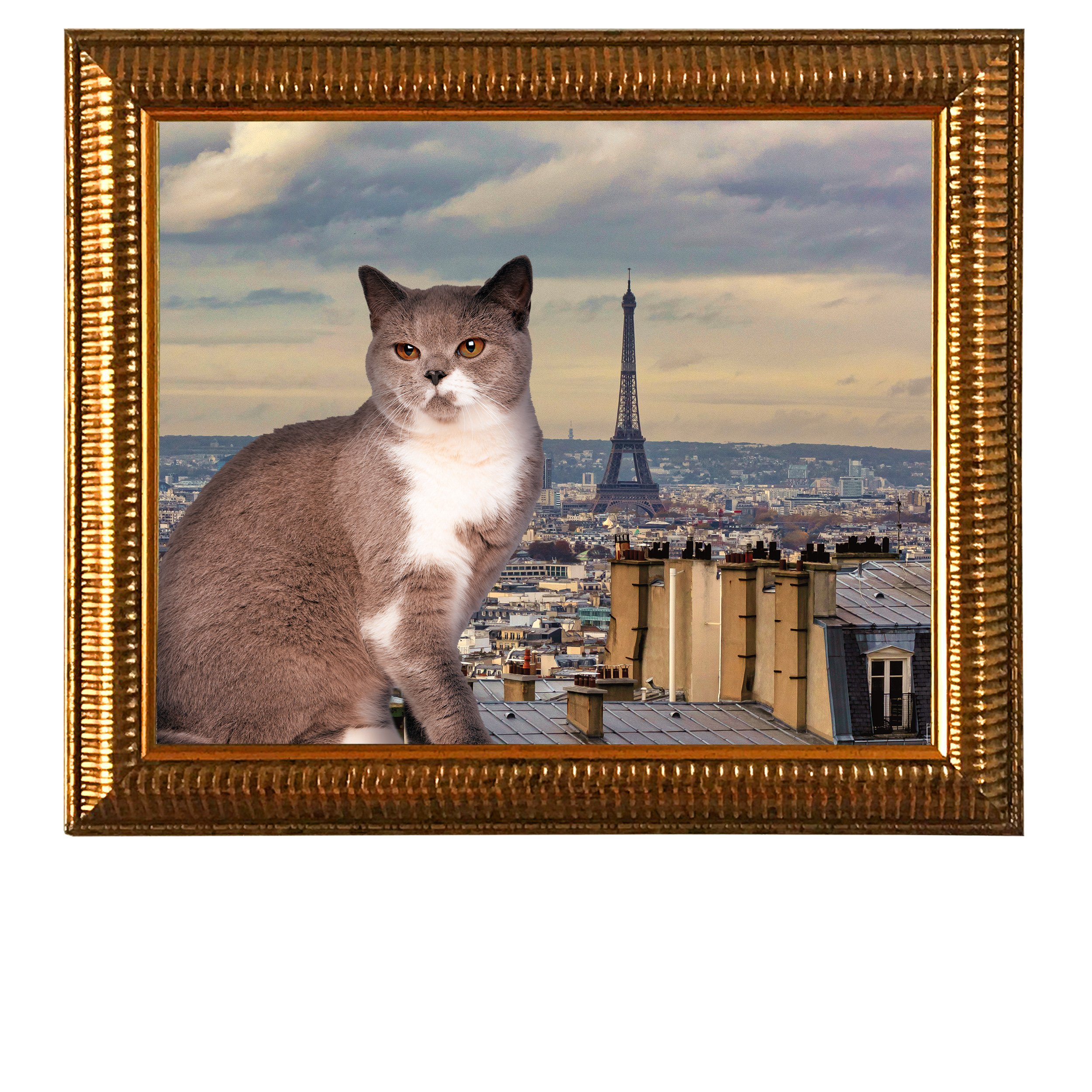 The-Epic-Eiffel-CAT.jpg