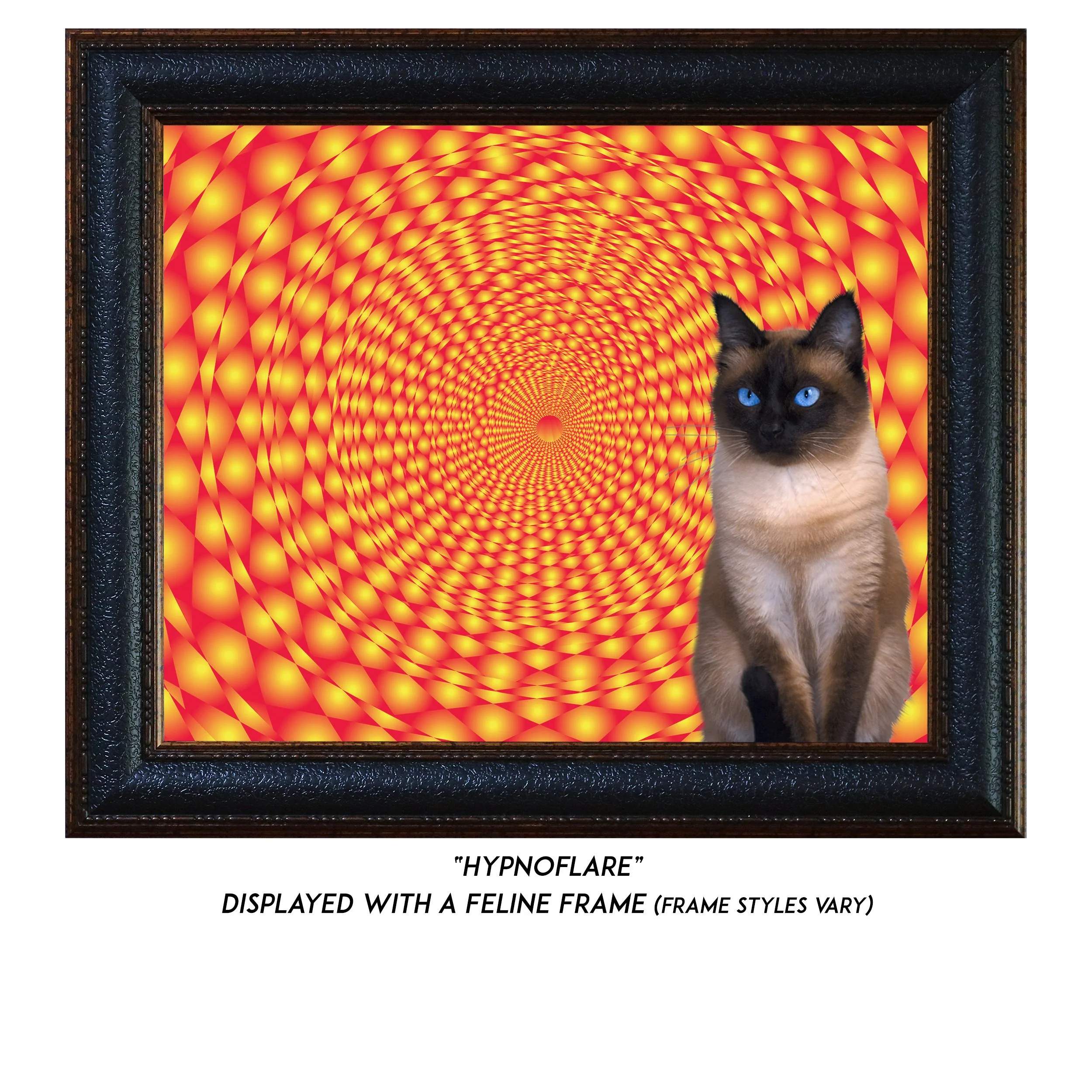 Hypnoflare-CAT.jpg