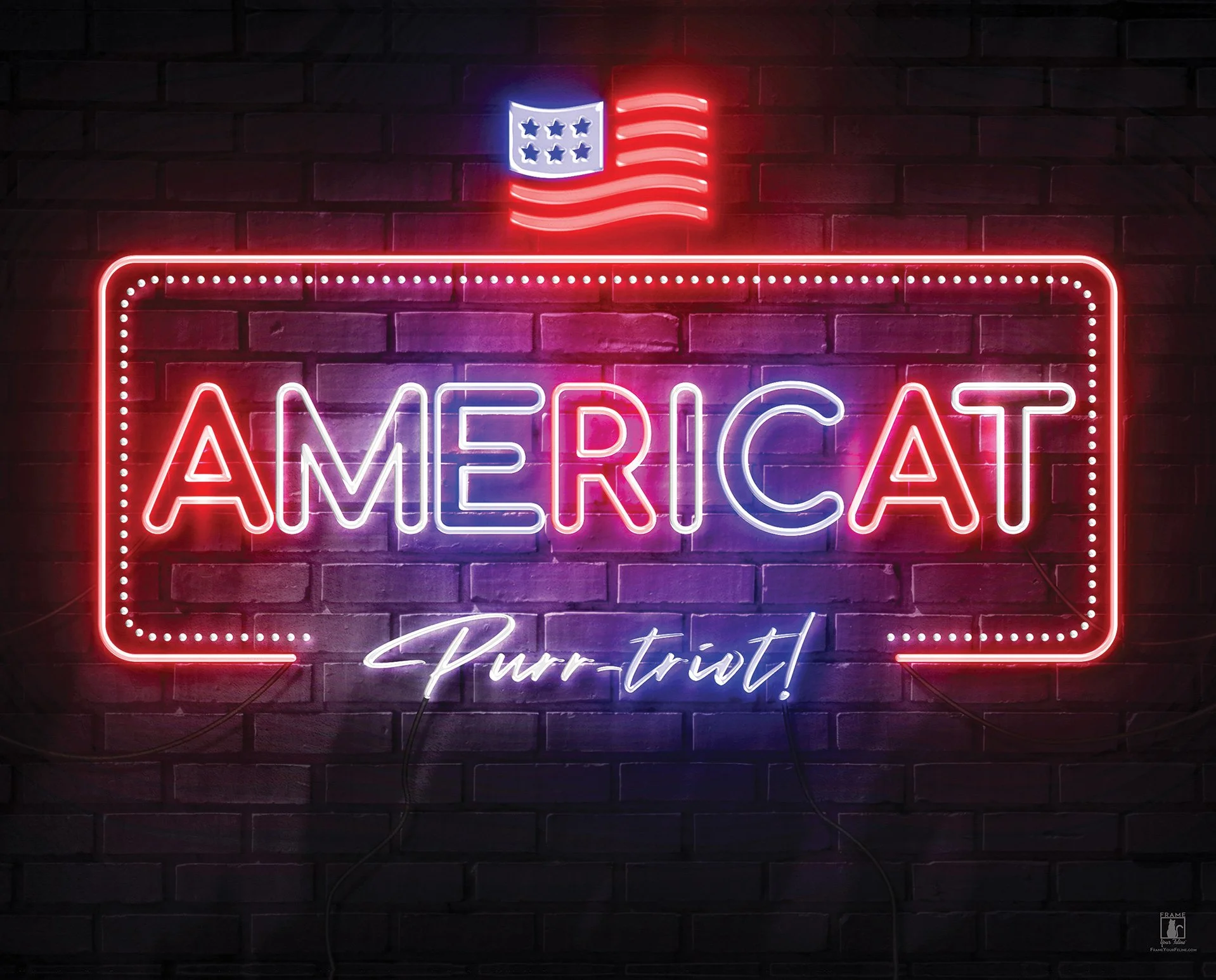 “Americat Purr-triot” | By Brian Vermeire
