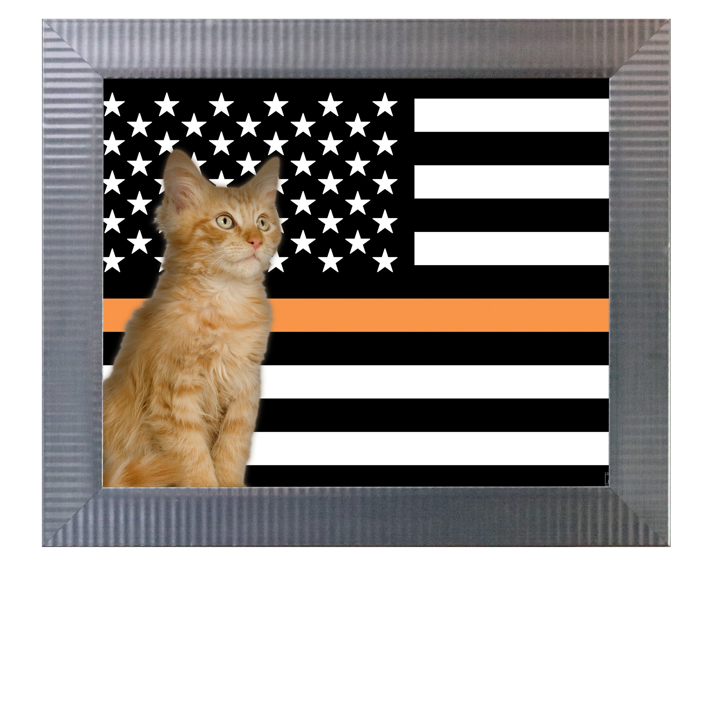 Thin-Orange-Line-Flag-CAT.jpg
