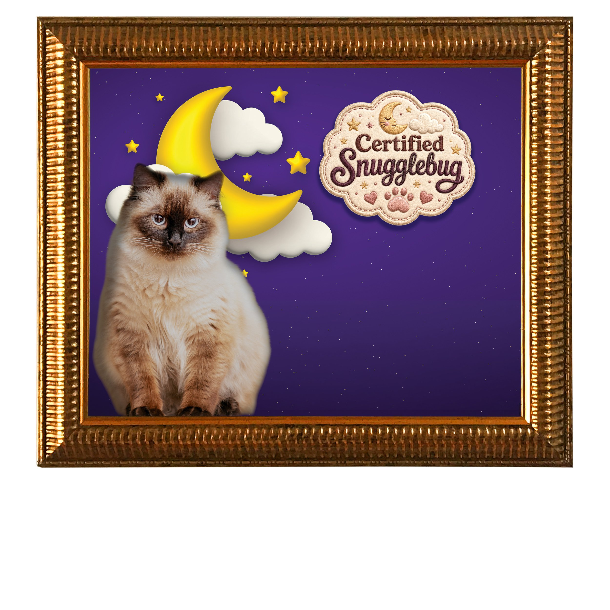 Certified-Snugglebug-CAT.jpg