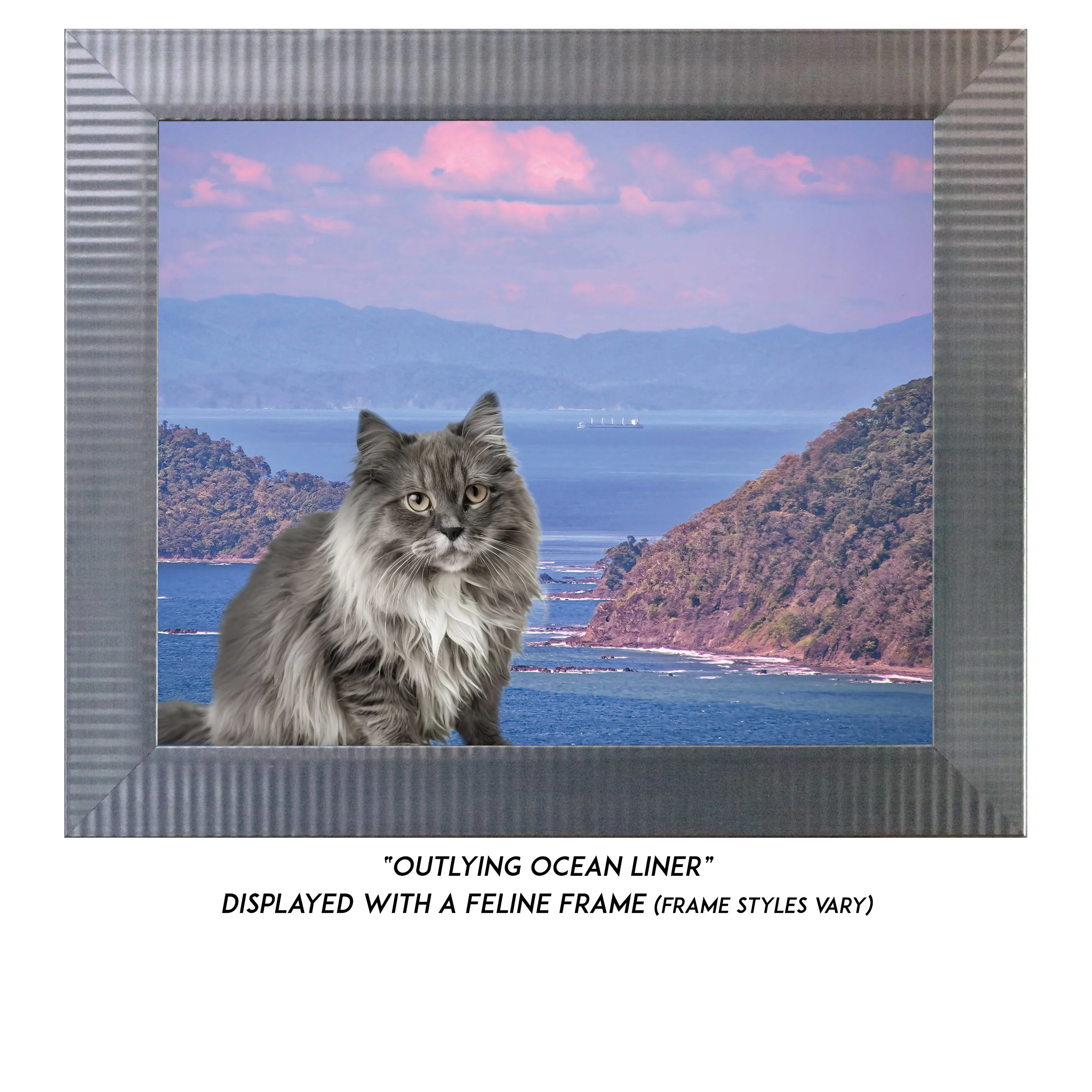 Outlying-Ocean-Liner-CAT.jpg (Copy)