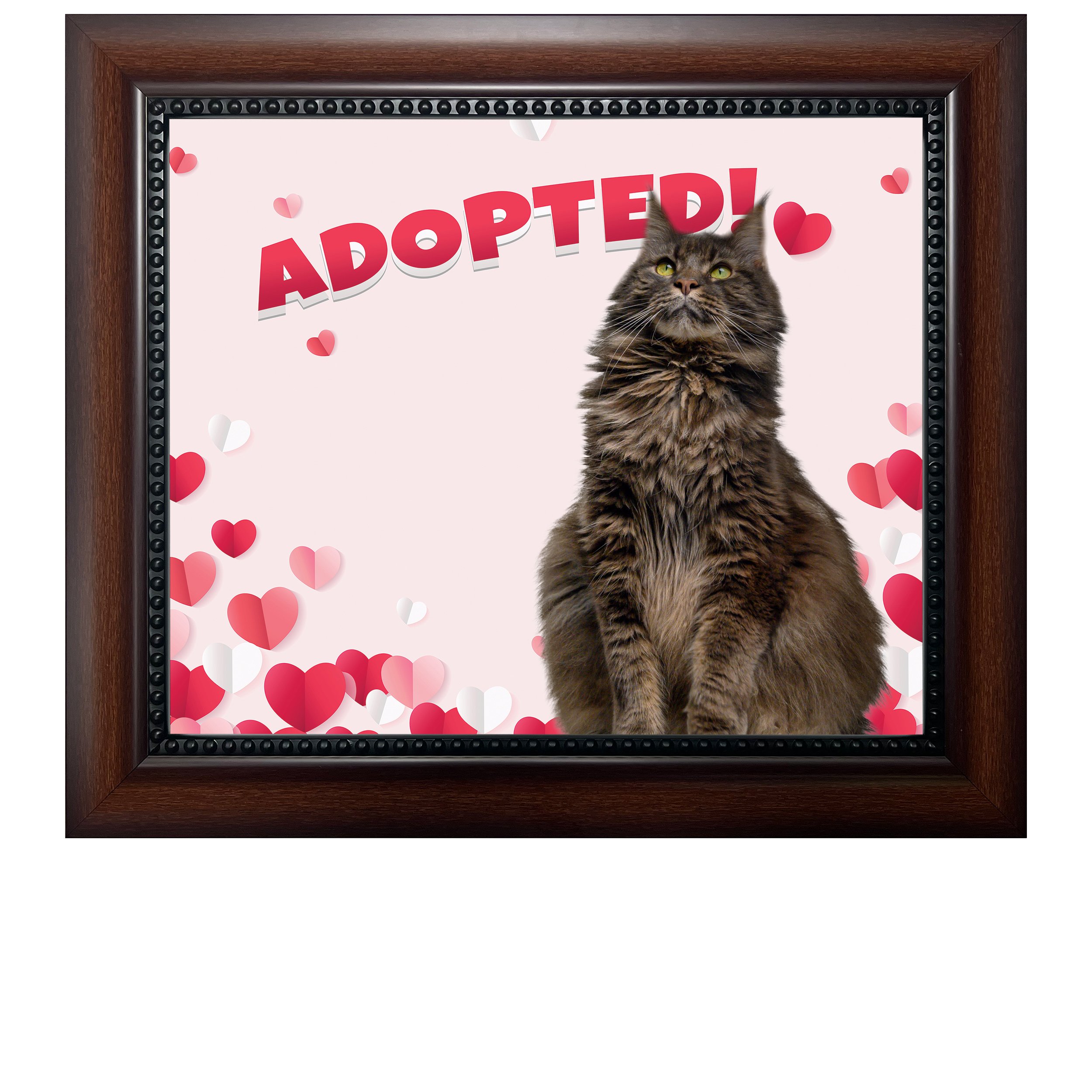 Adopted-(Hearts)-CAT.jpg
