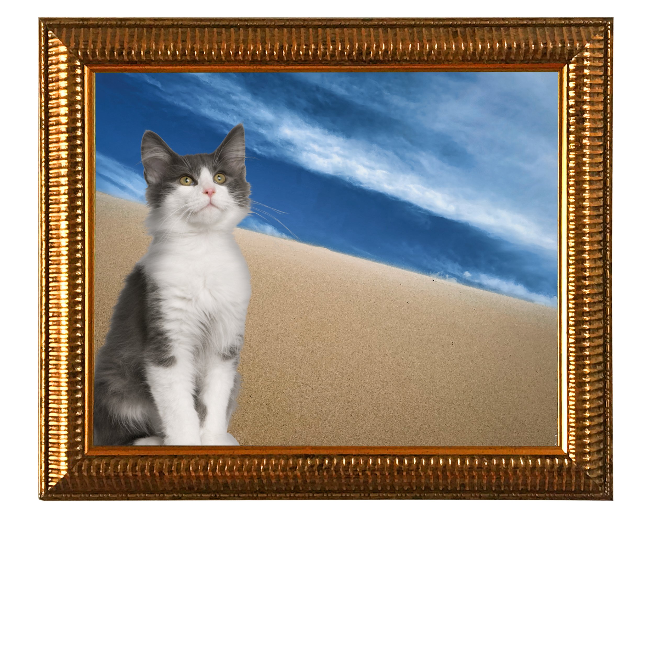 Steep-Dune-CAT.jpg