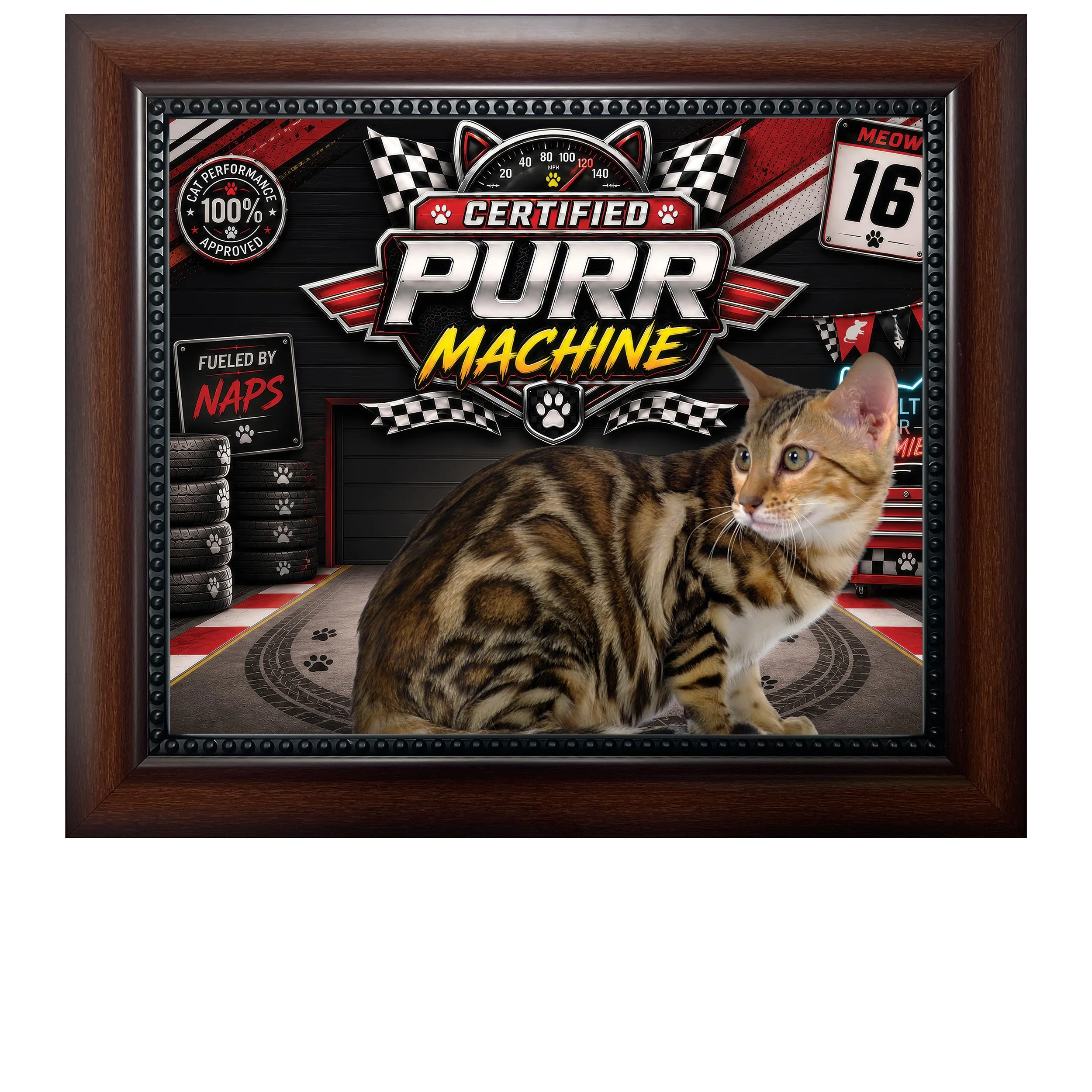 Certified-Purr-Machine-CAT.jpg