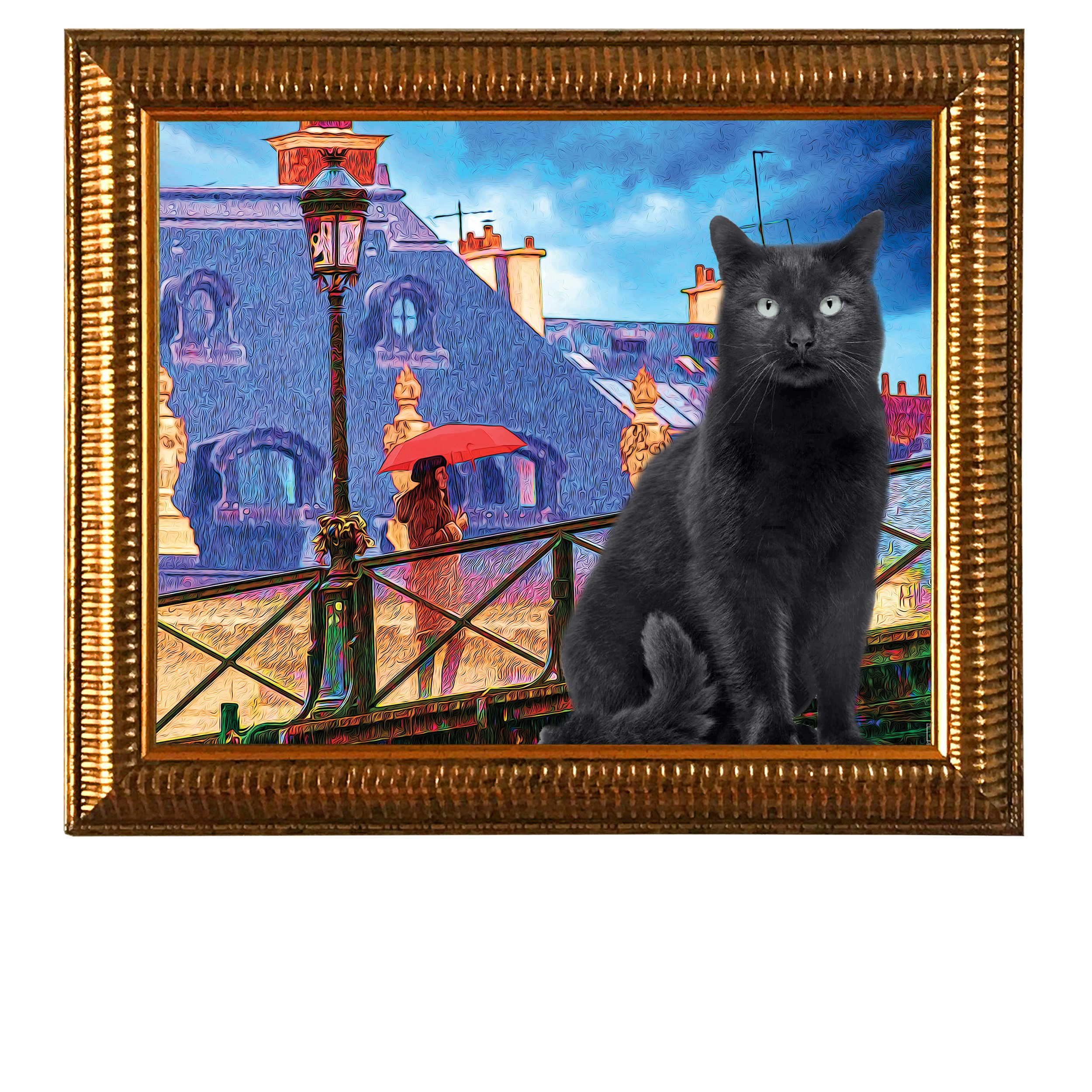 Brella-Bridge-CAT.jpg