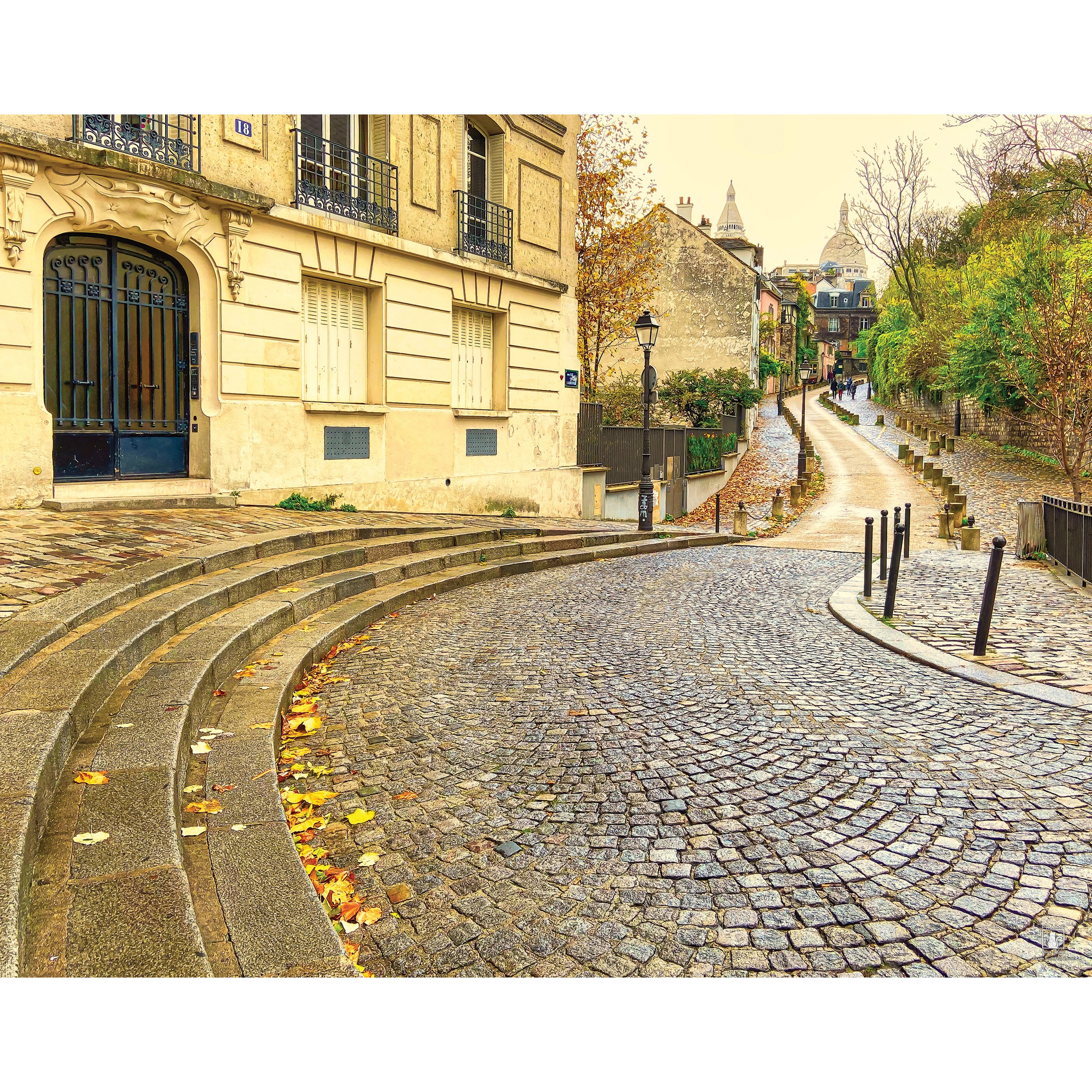 "Montmarte Curves" | By Mike Powell