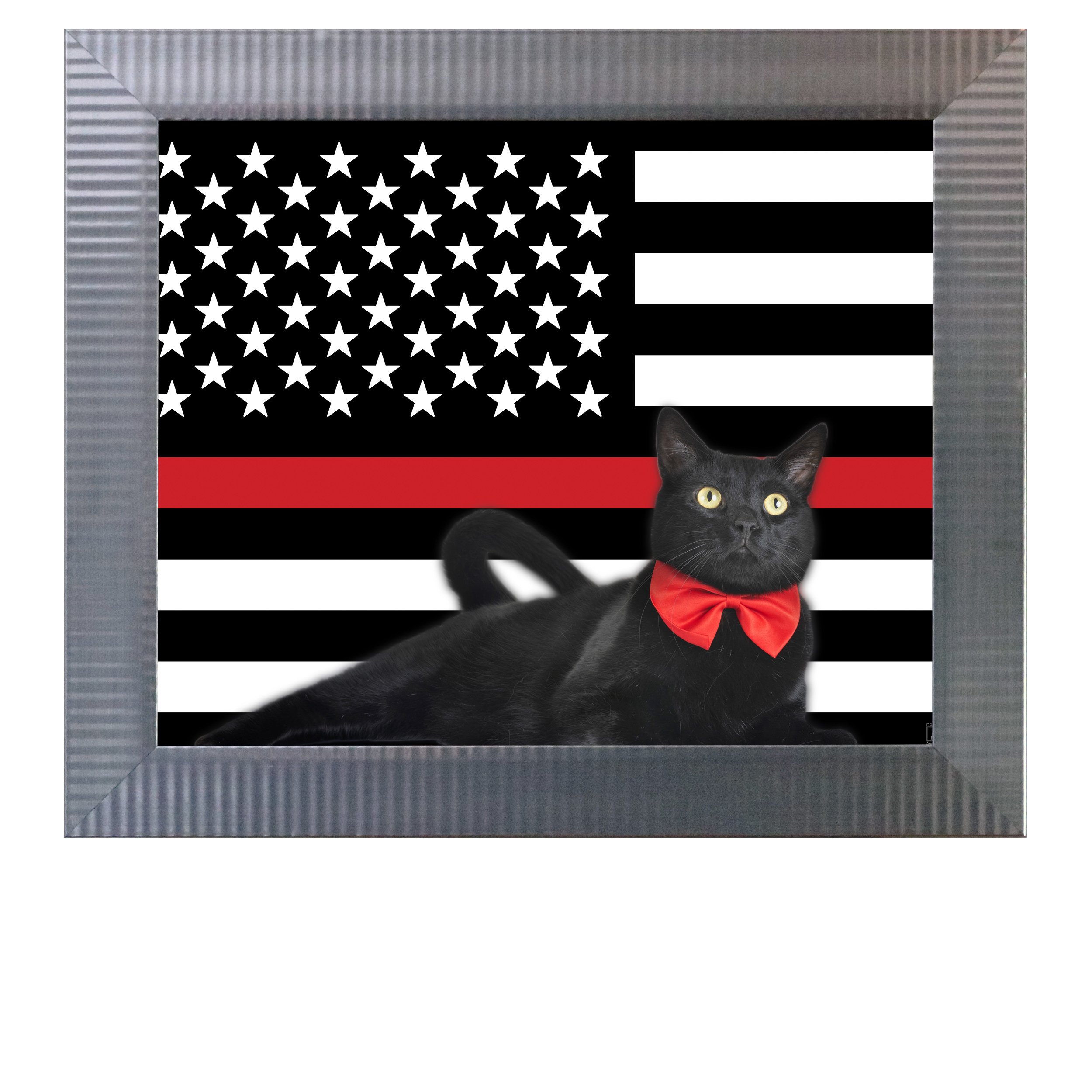 Thin-Red-Line-Flag-CAT.jpg