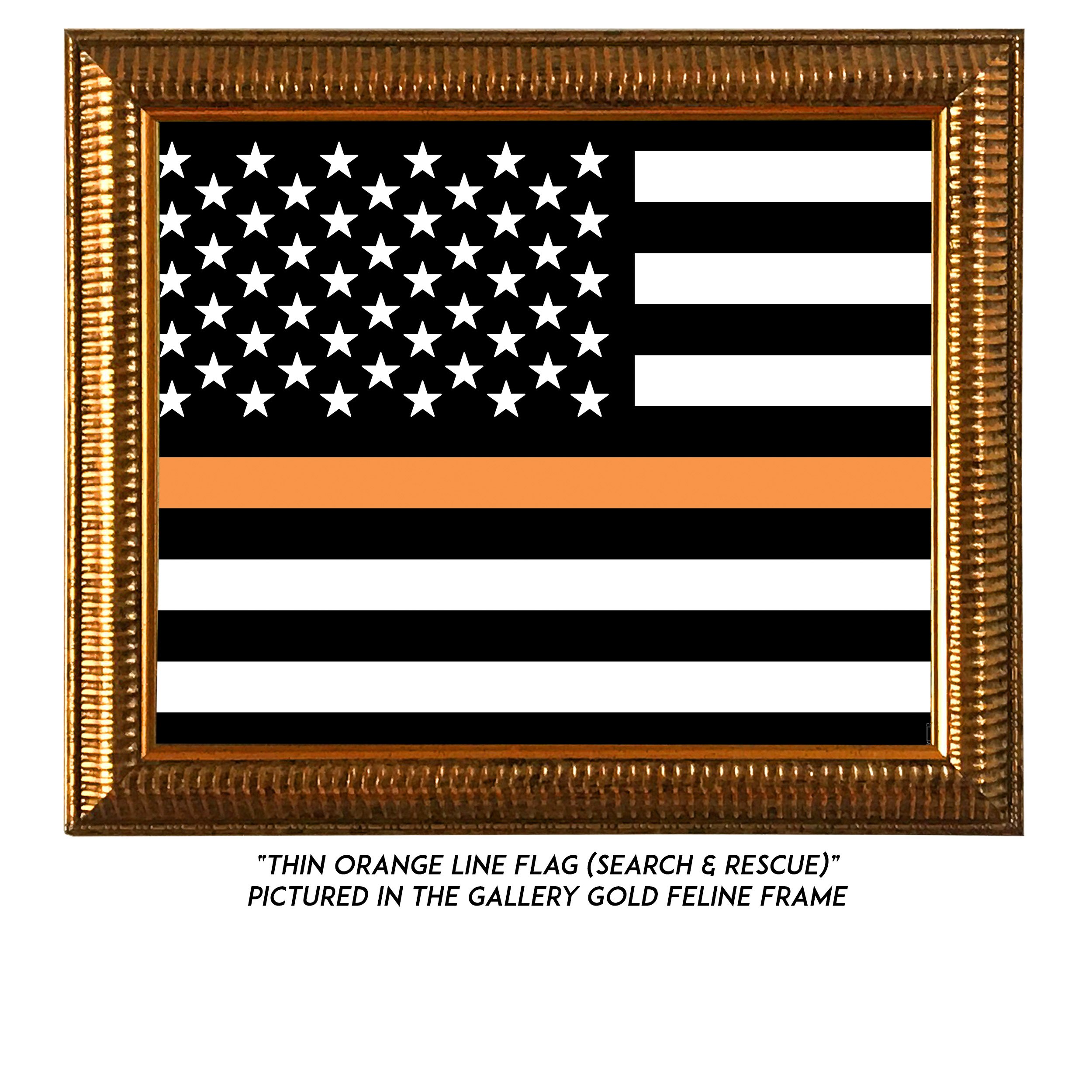 Thin-Orange-Line-Flag-G.jpg