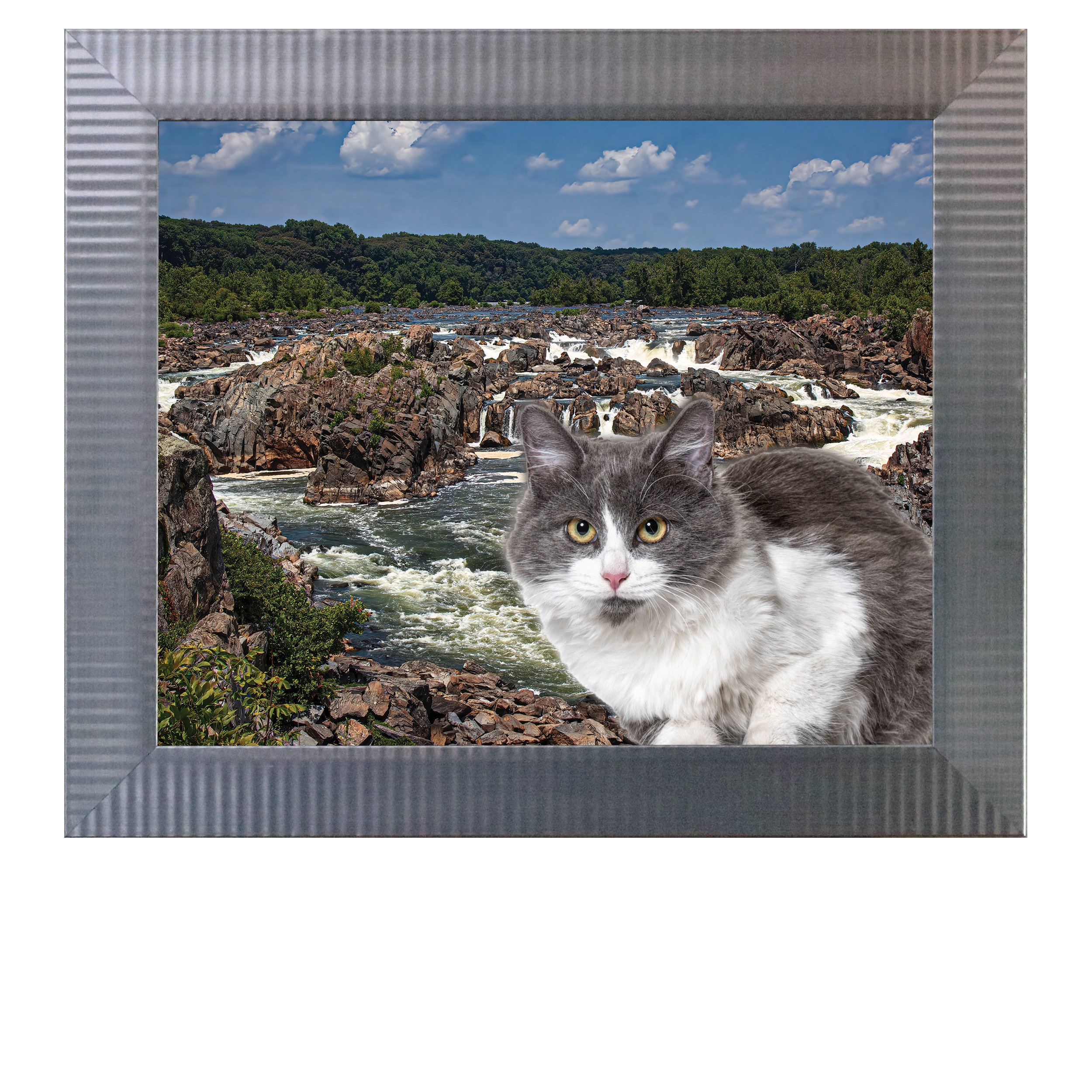 Waterfalls-and-Flows-CAT.jpg