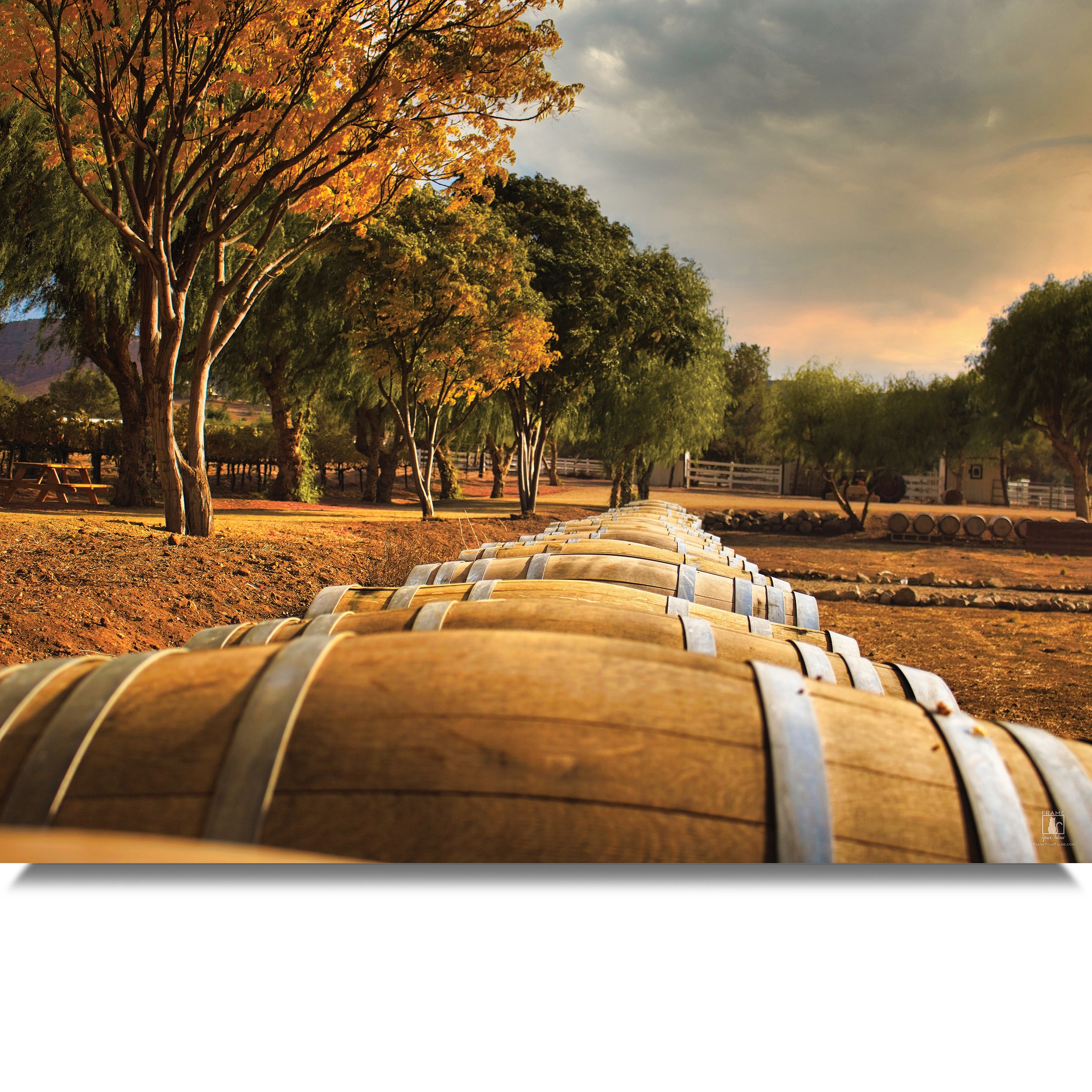 Barrel-Row-MB.jpg
