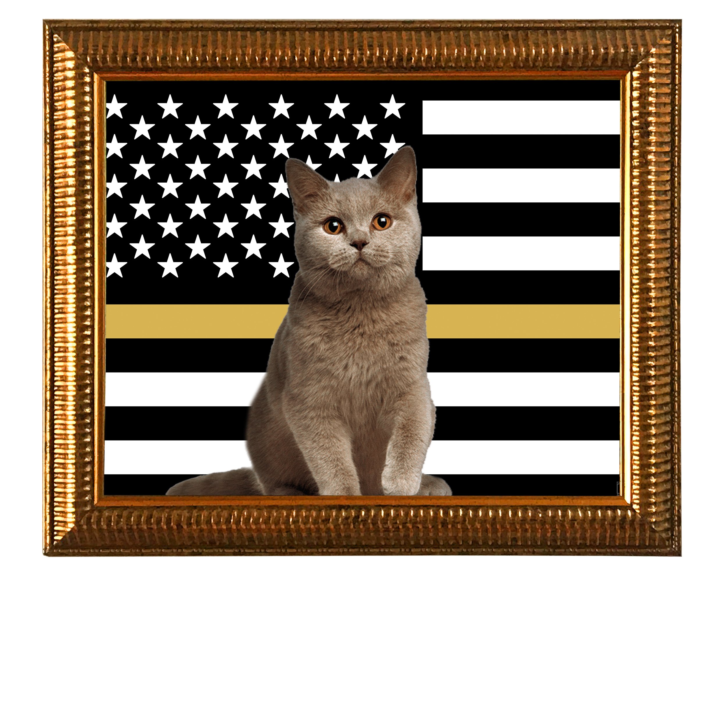 Thin-Gold-Line-Flag-CAT.jpg