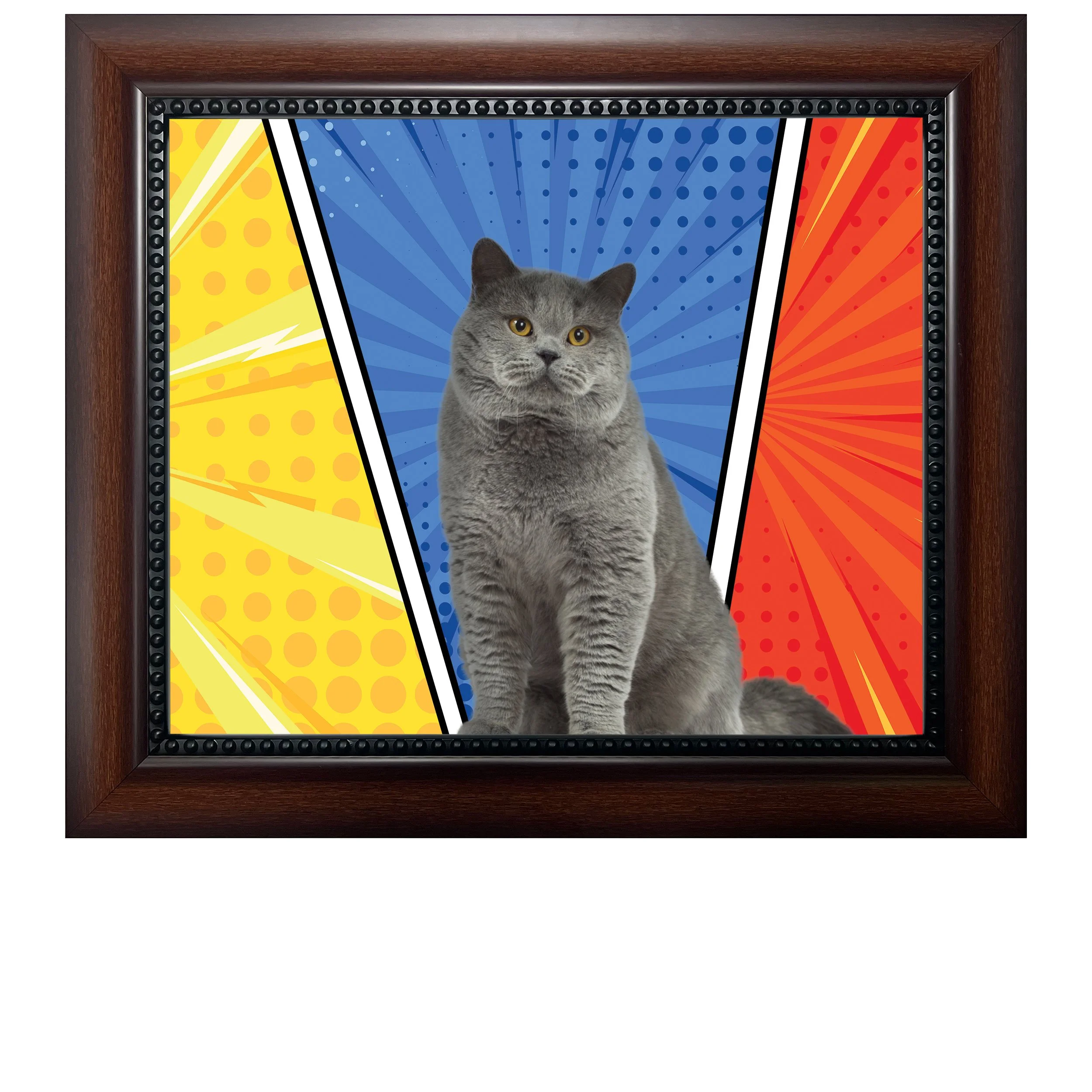 Panel-Pouncer-CAT.jpg