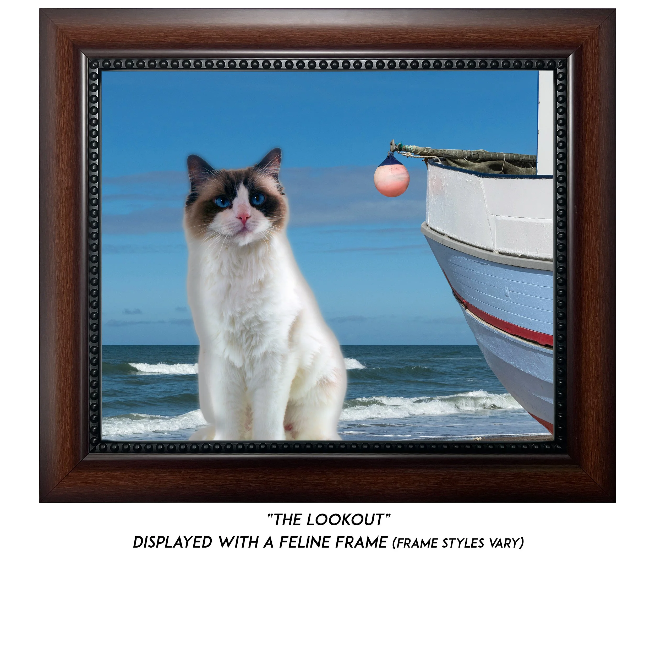 The-Lookout-CAT.jpg