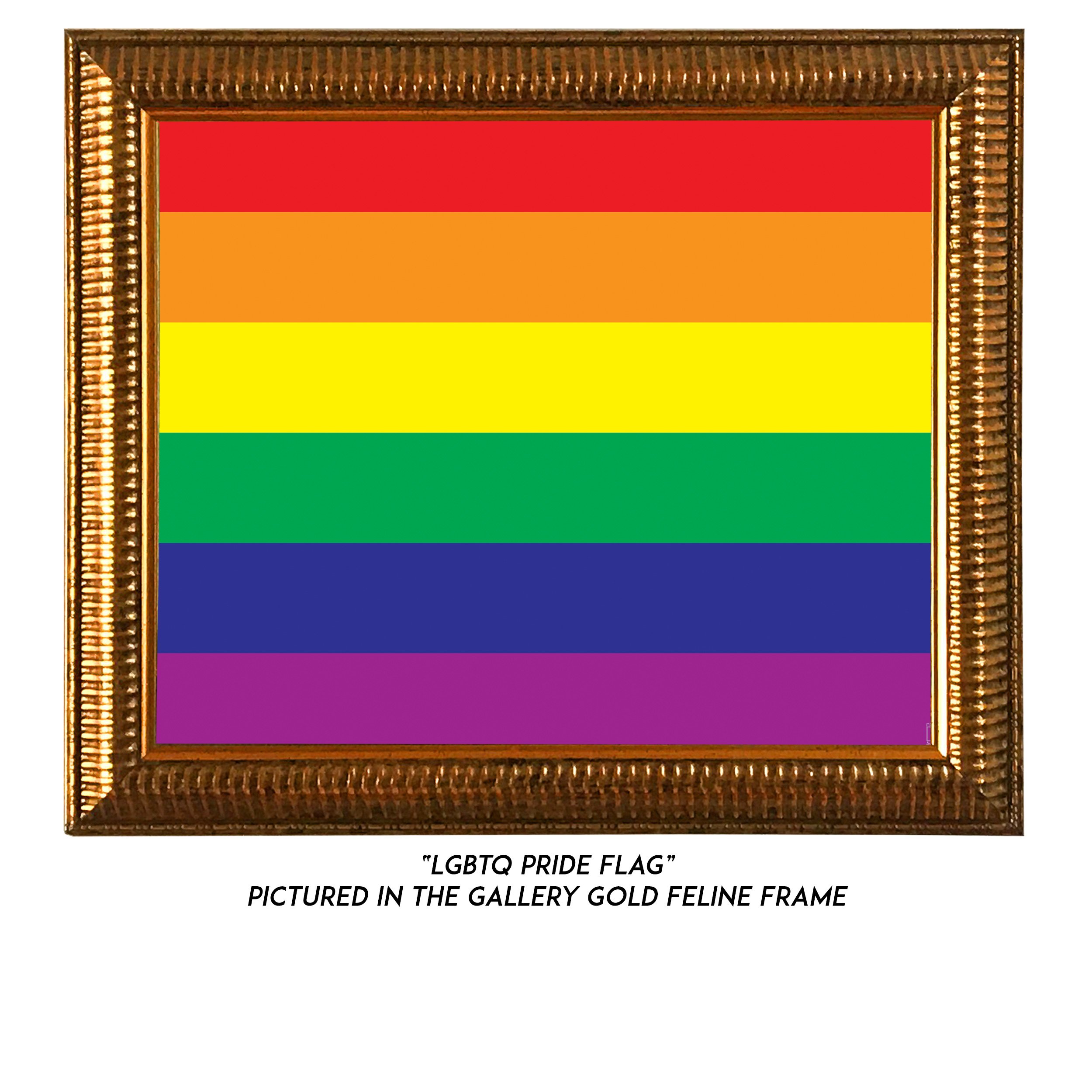 LGBTQ-Pride-Flag-G.jpg