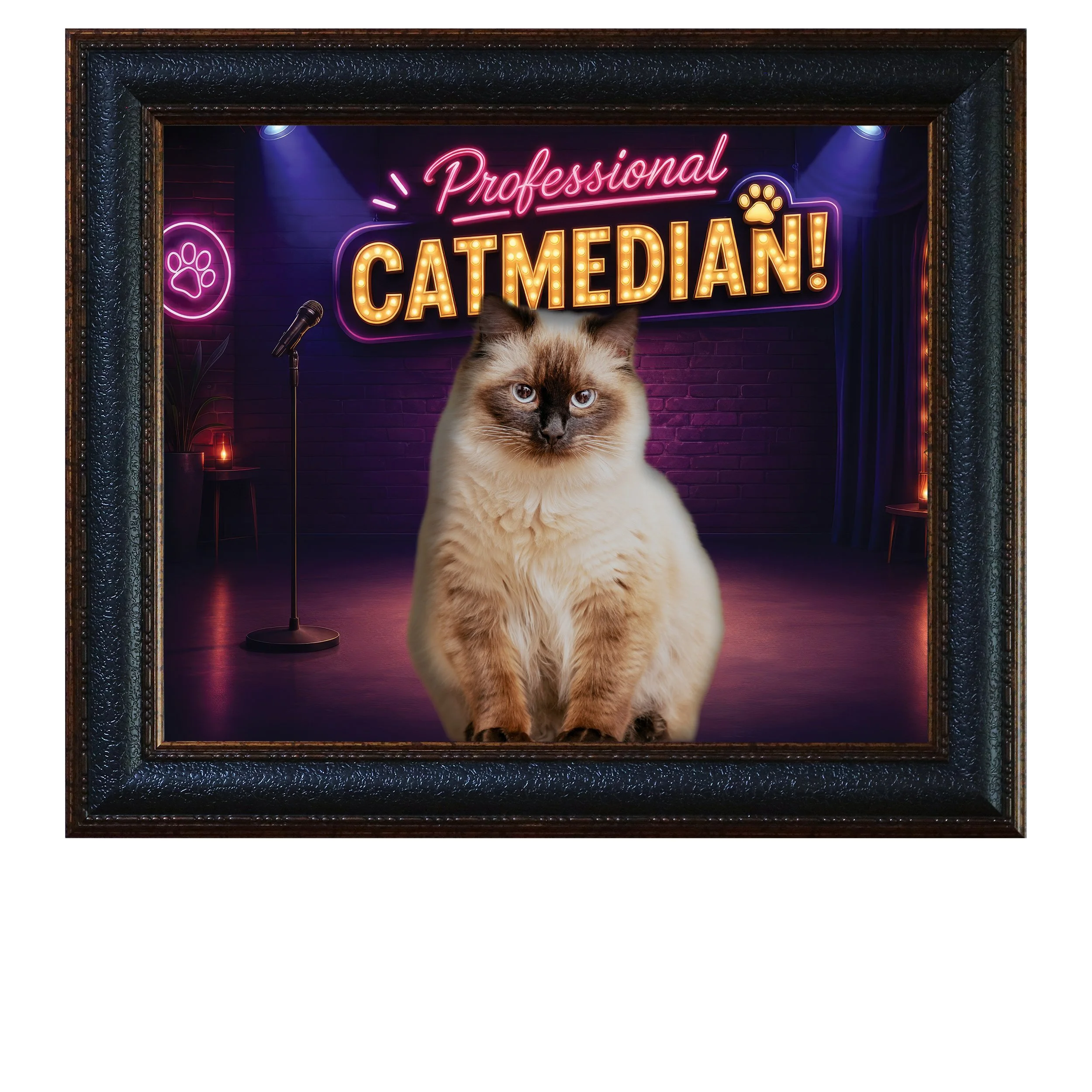Professional-Catmedian-CAT.jpg
