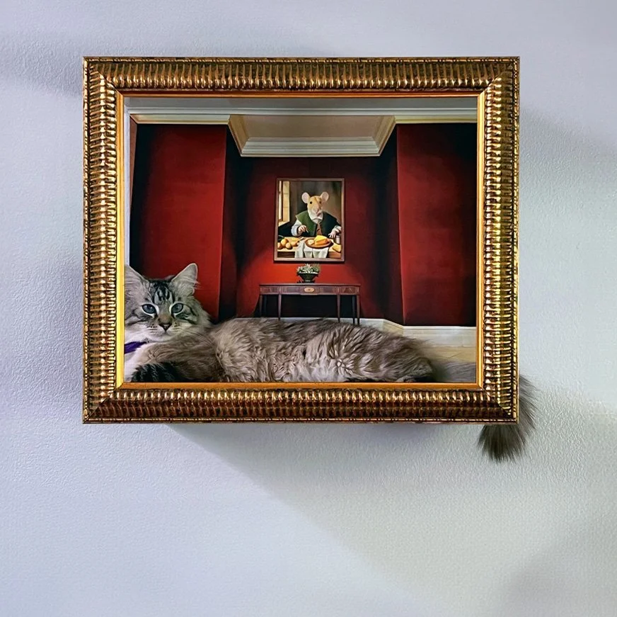 Gallery-Gold-Cat-Email.jpg