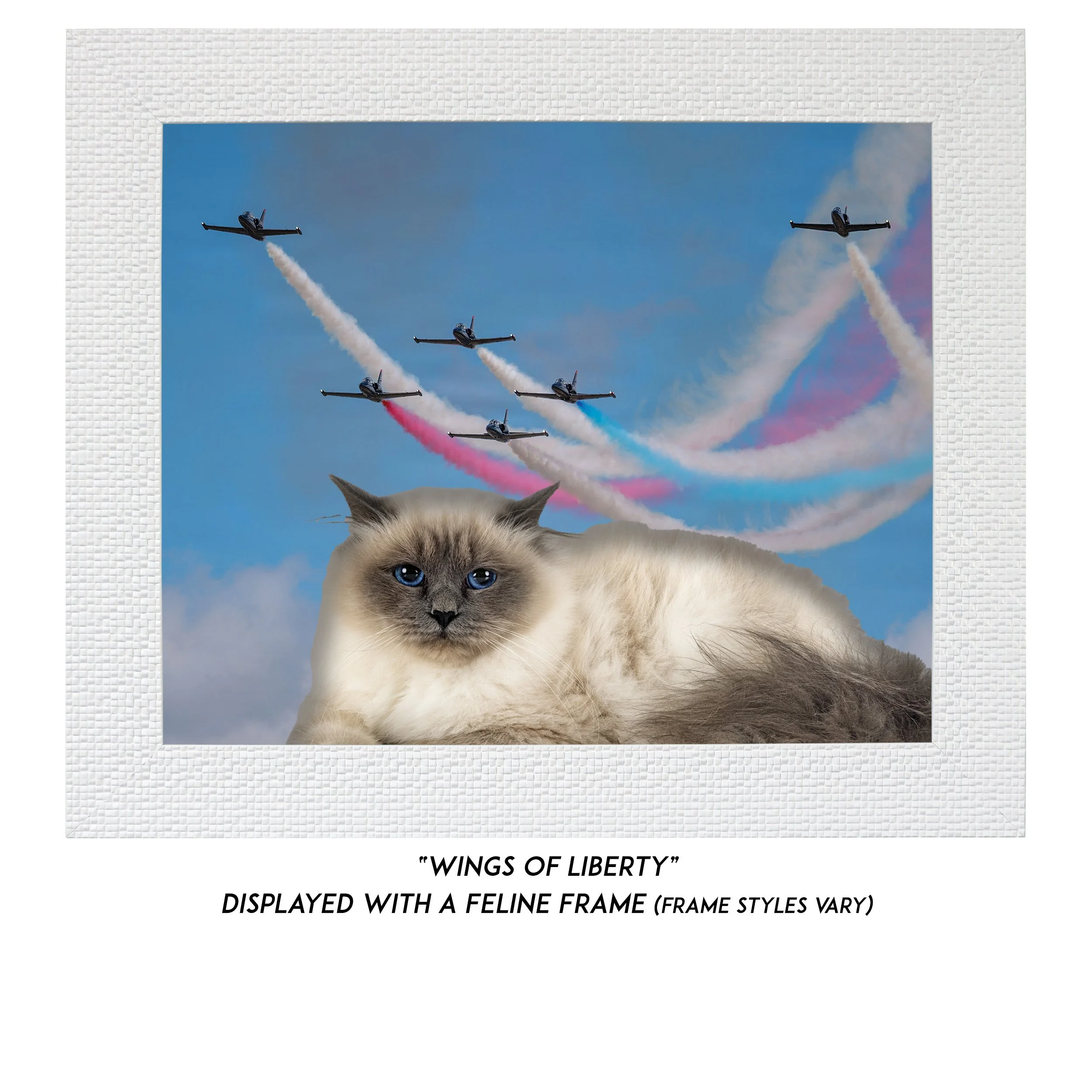 Wings-of-Liberty-CAT.jpg