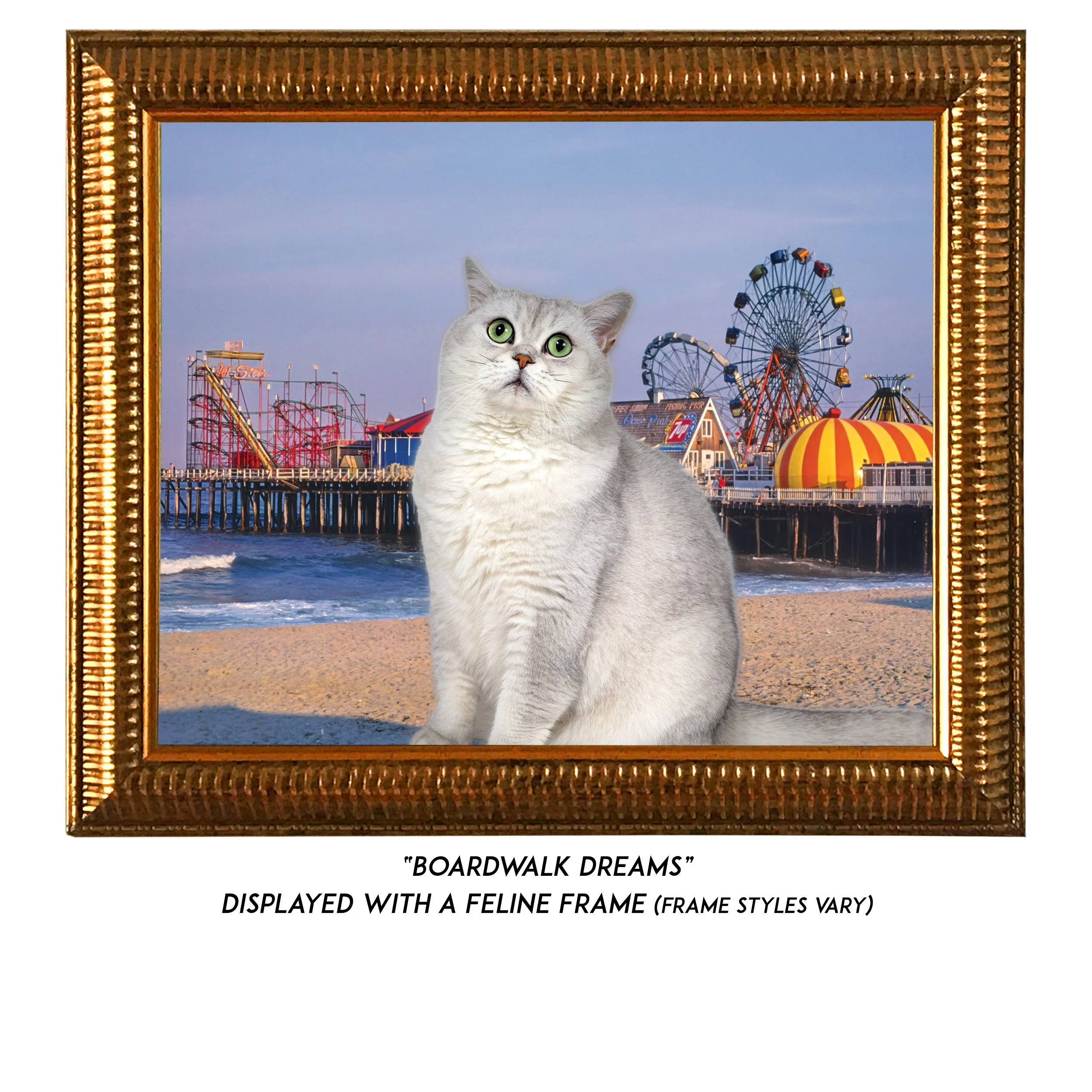 Boardwalk-Dreams-CAT.jpg
