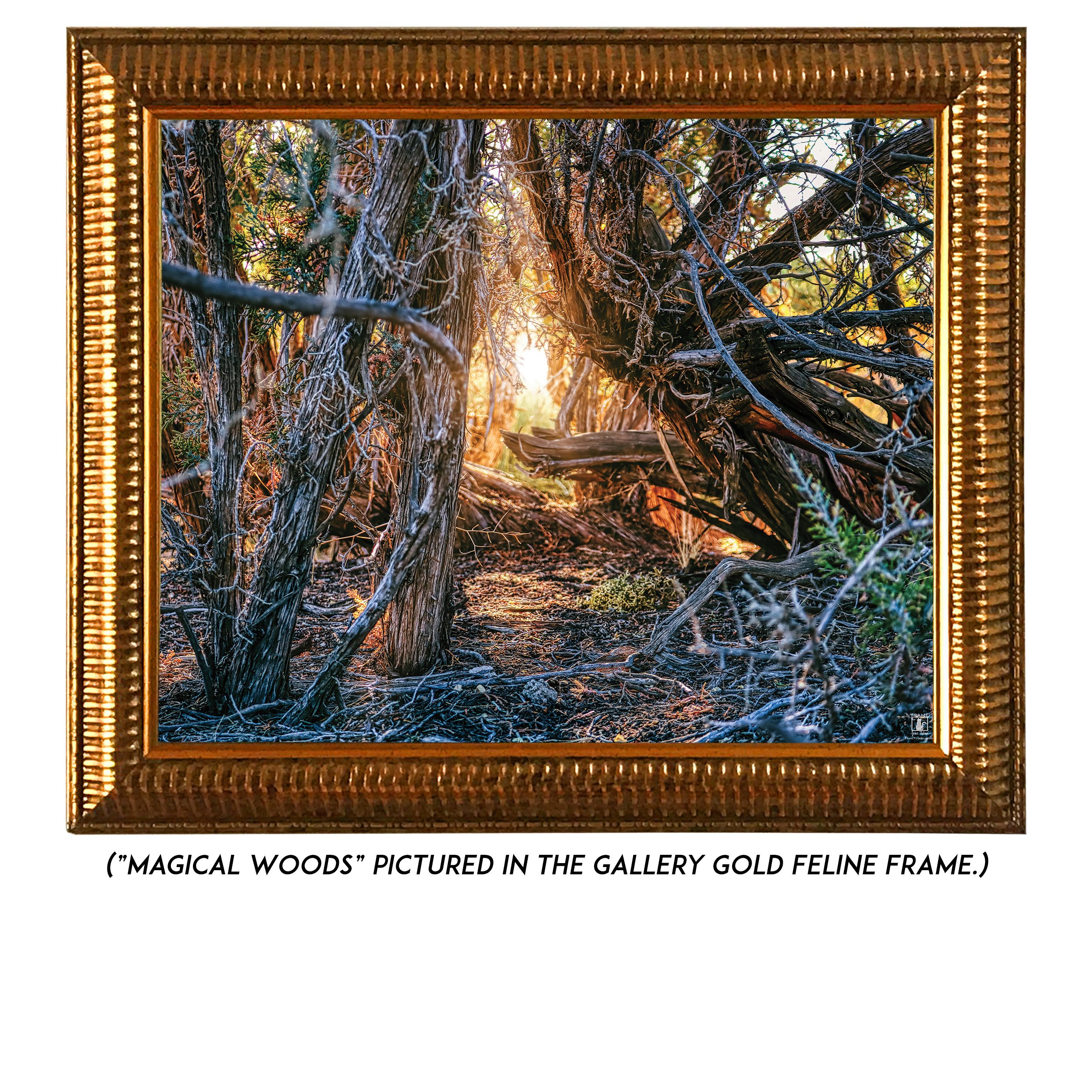 Magical-Woodsl-G.jpg