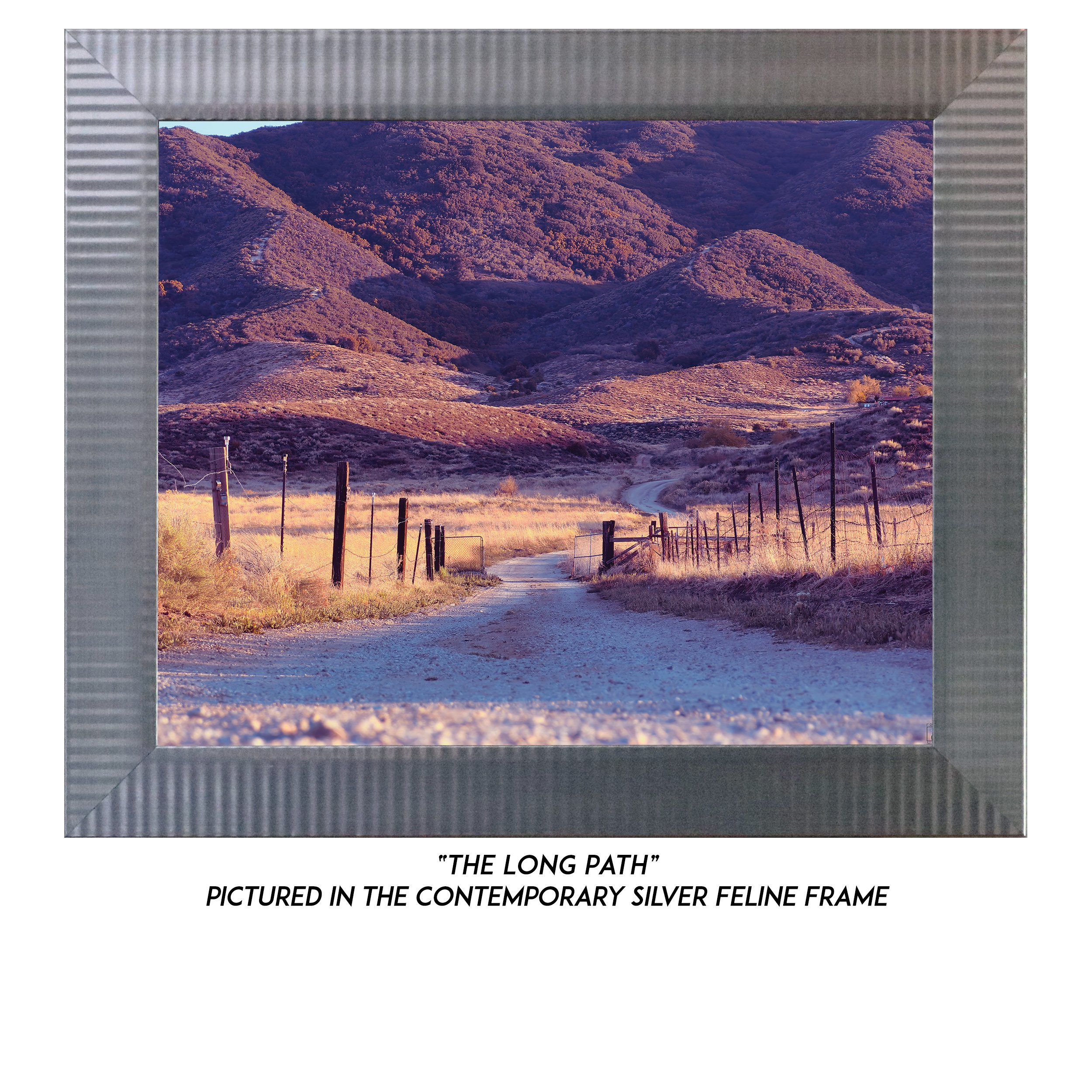 The-Long-Path-S.jpg