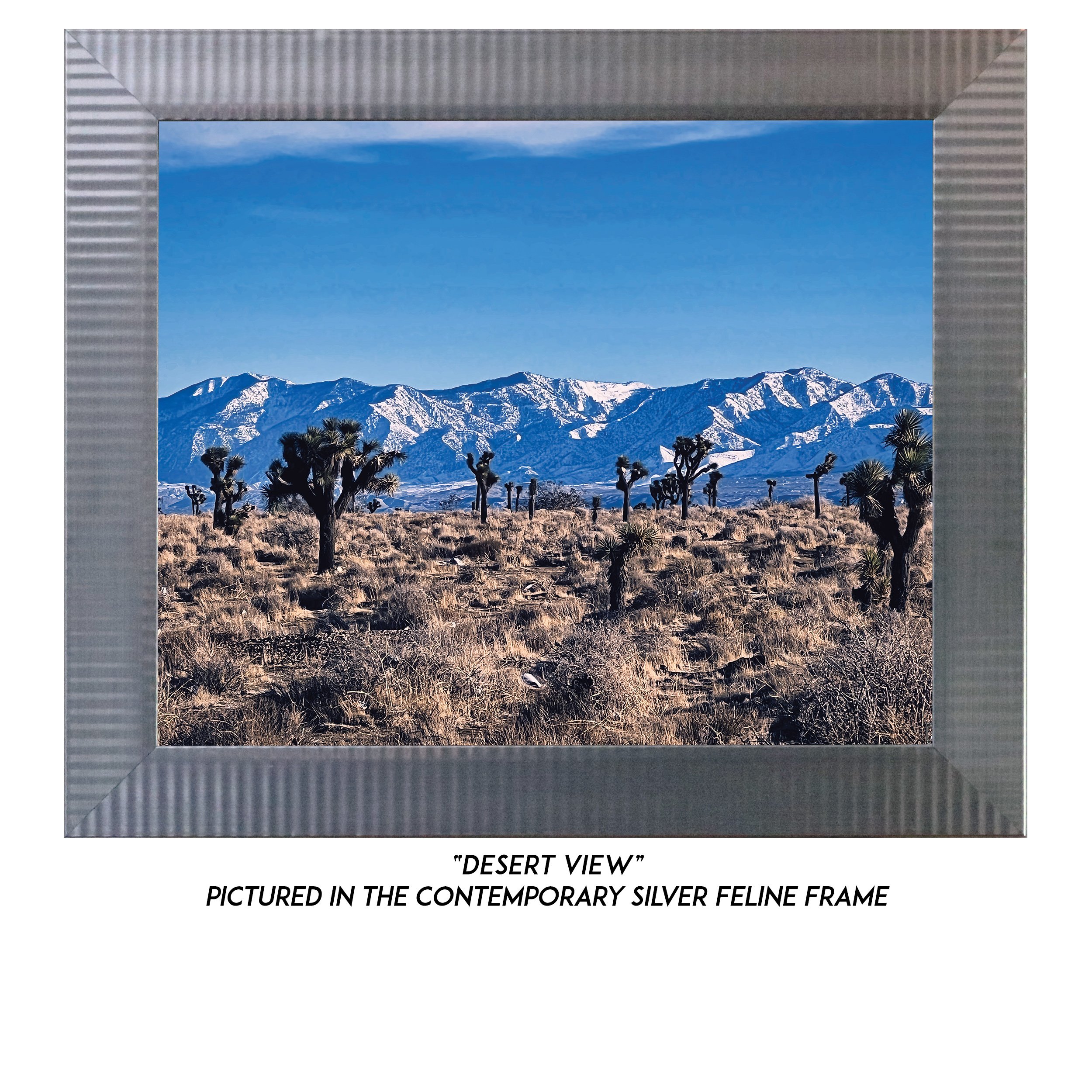 Desert-View-S.jpg
