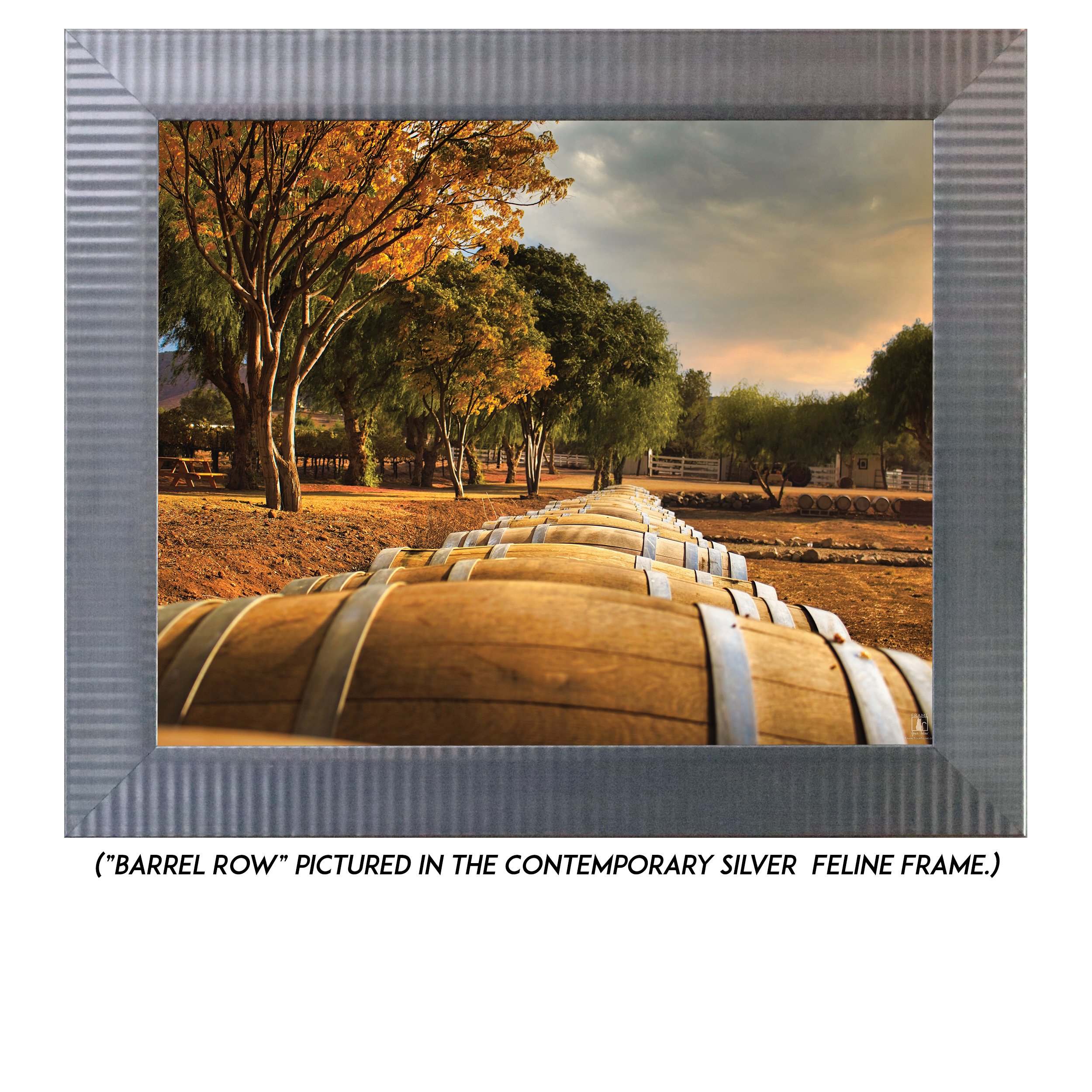 Barrel-Row-S.jpg