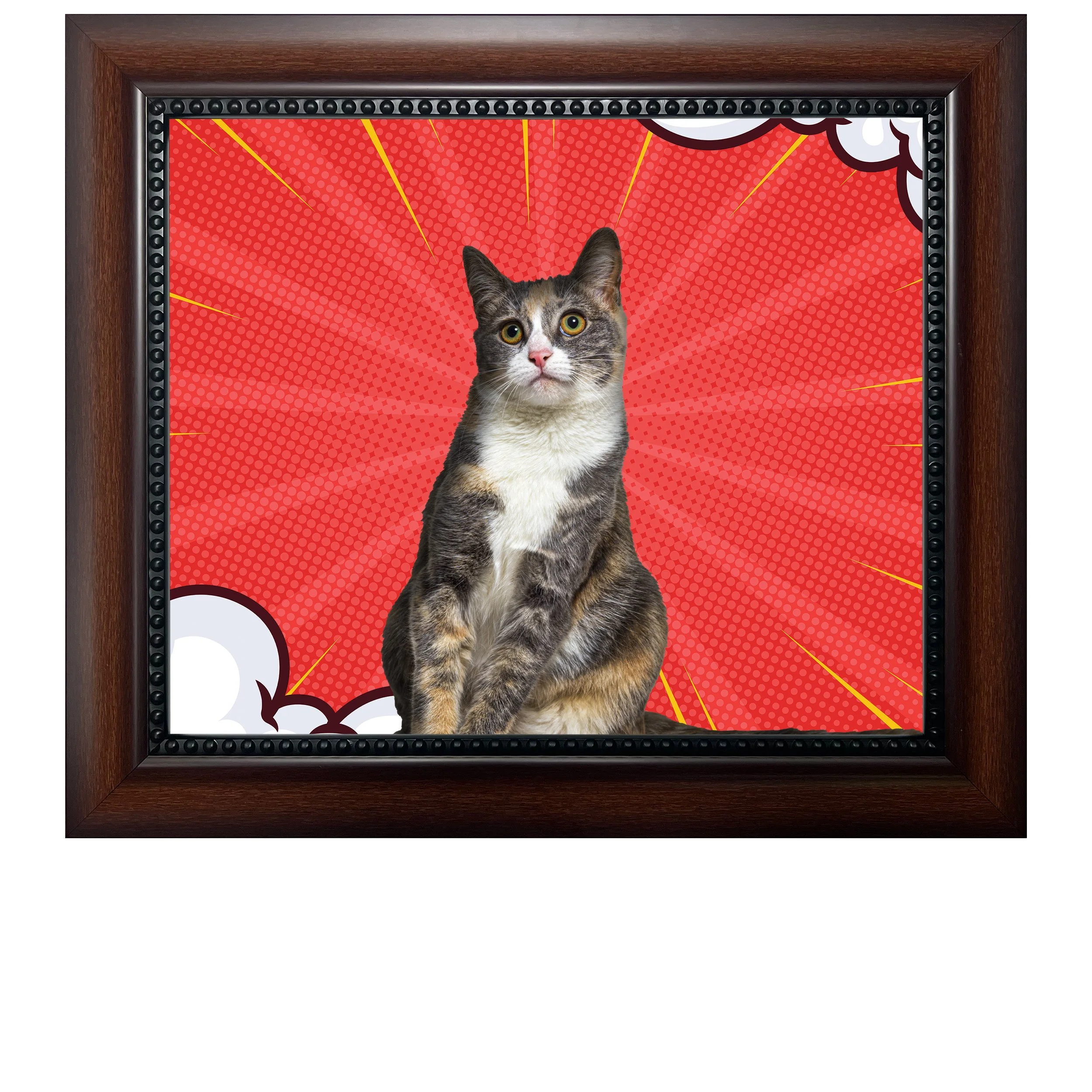Red-Sprint-CAT.jpg