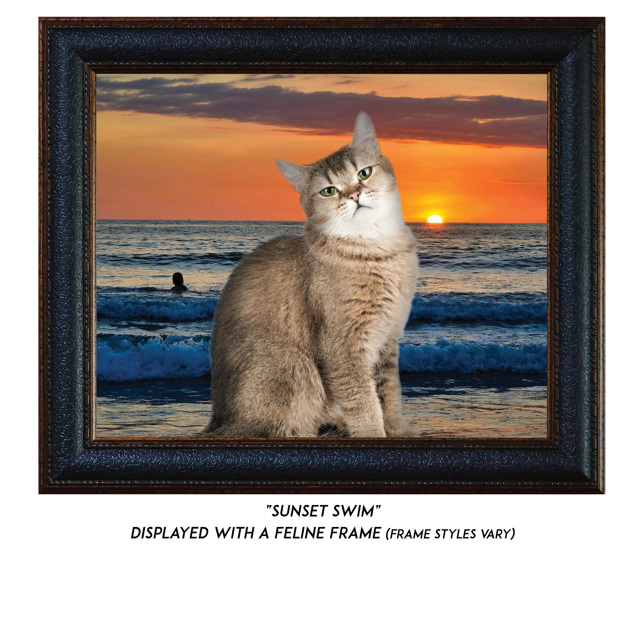 Sunset-Swim-CAT.jpg (Copy)