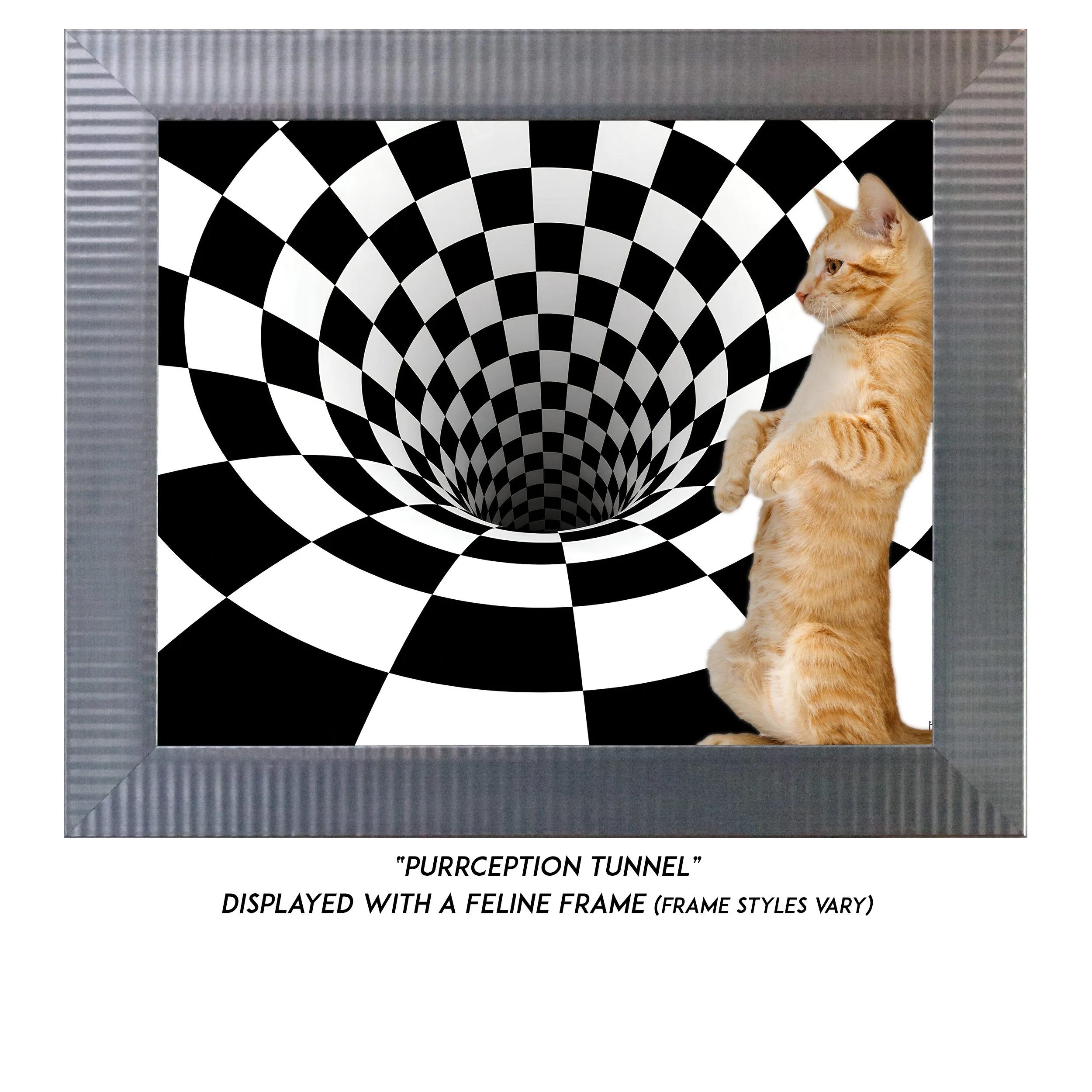 Purrception-Tunnel-CAT.jpg