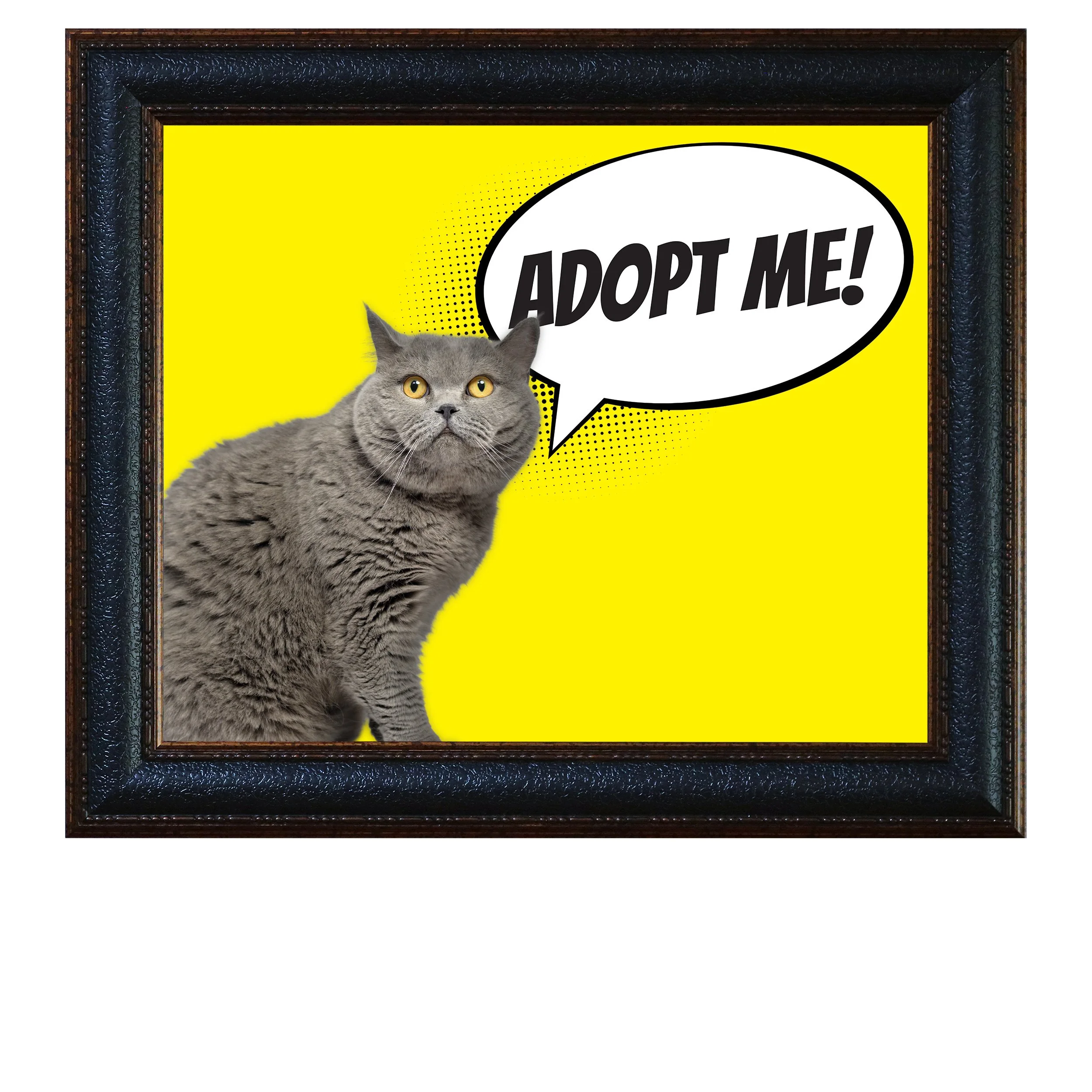 Adopt-Me-(Yellow)-CAT.jpg
