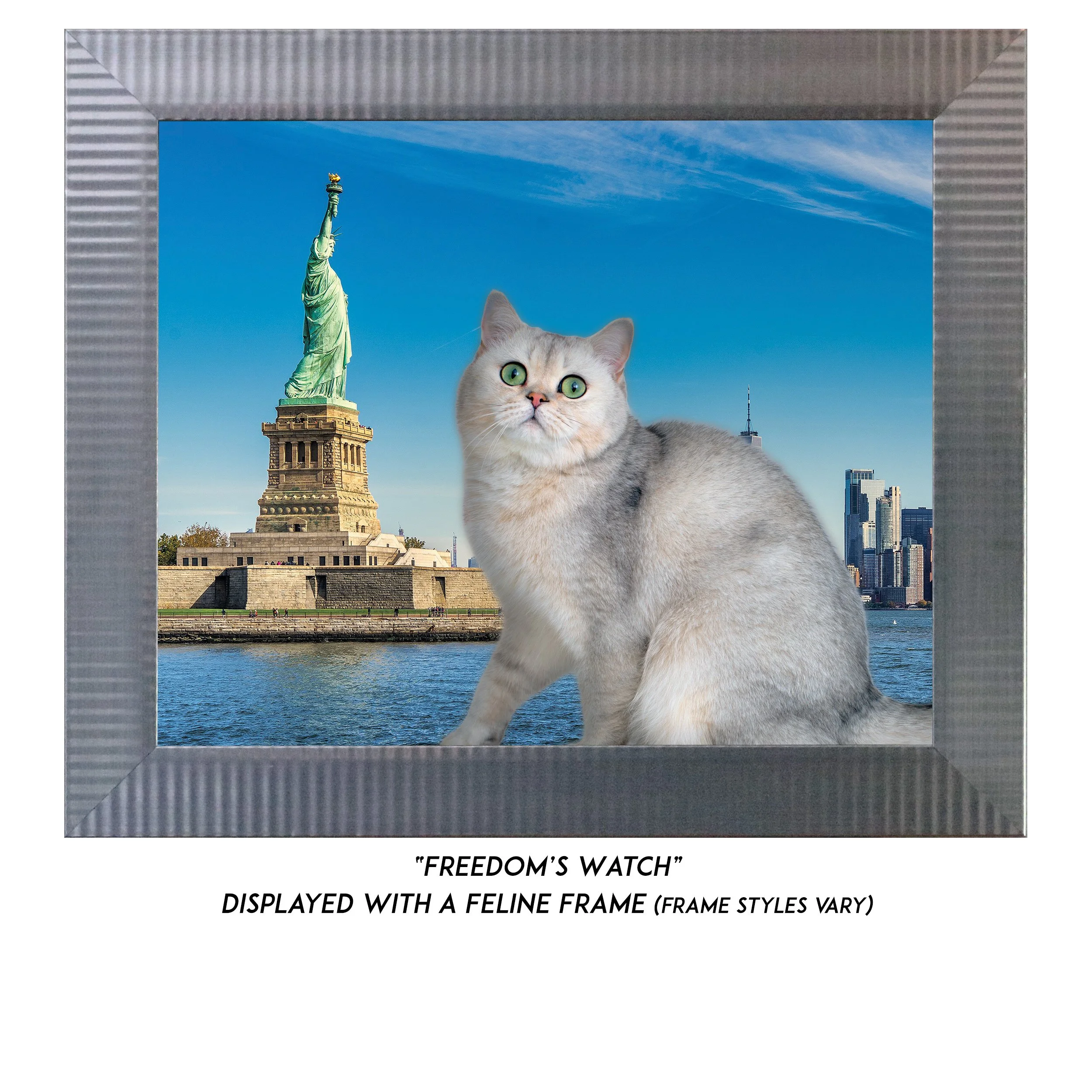 Freedoms-Watch-CAT.jpg