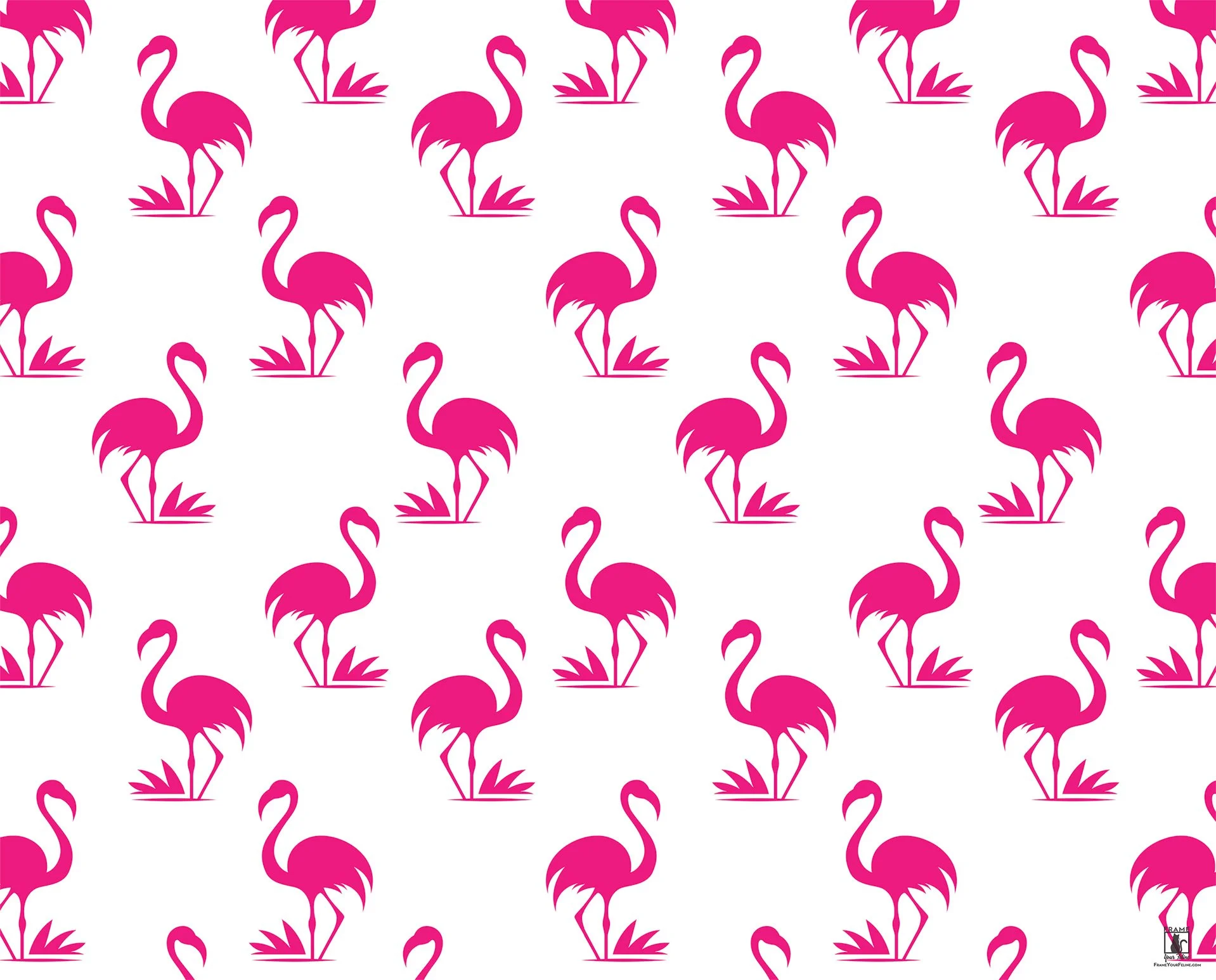 "Flamingo Flock ~ Malibu"