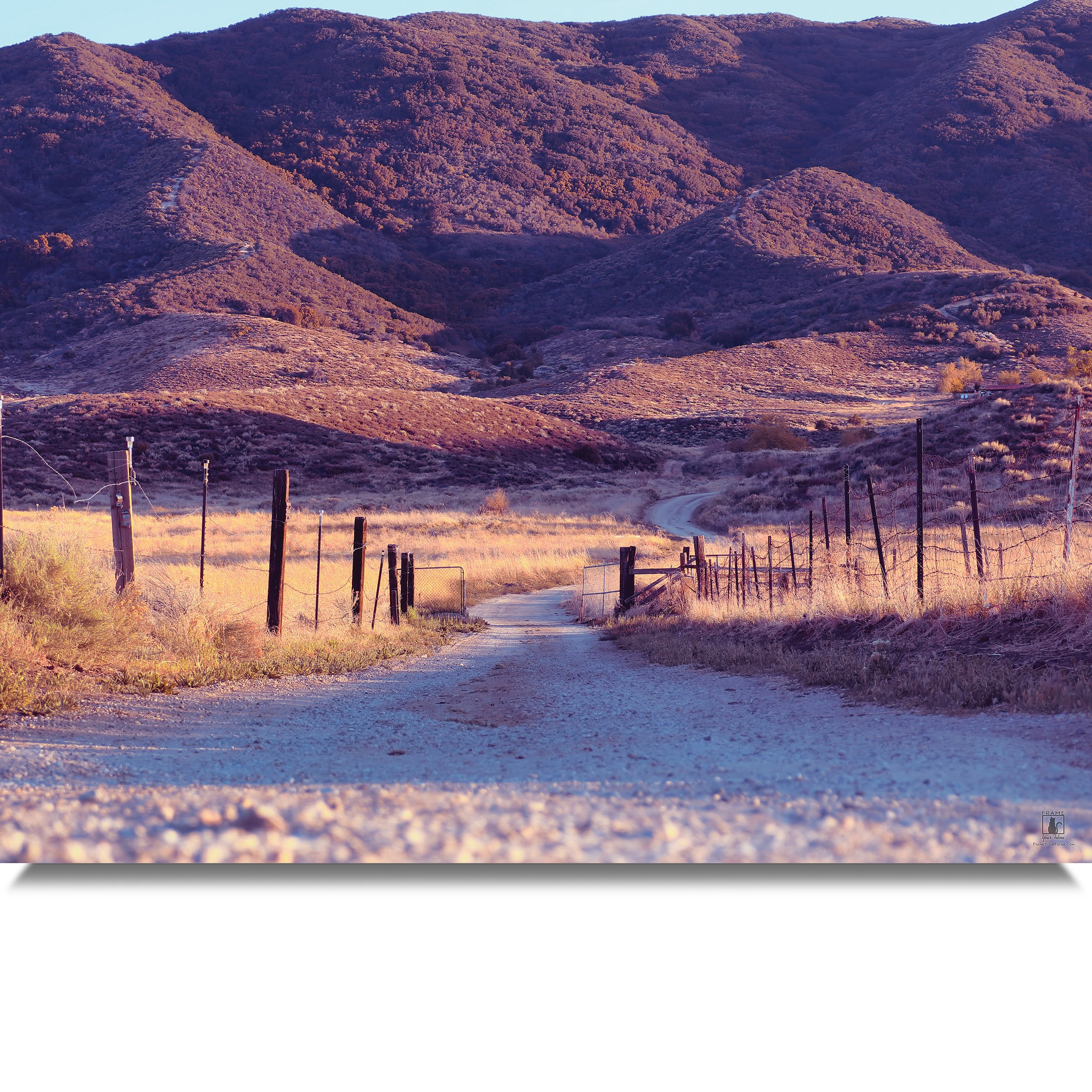 The-Long-Path-MB.jpg