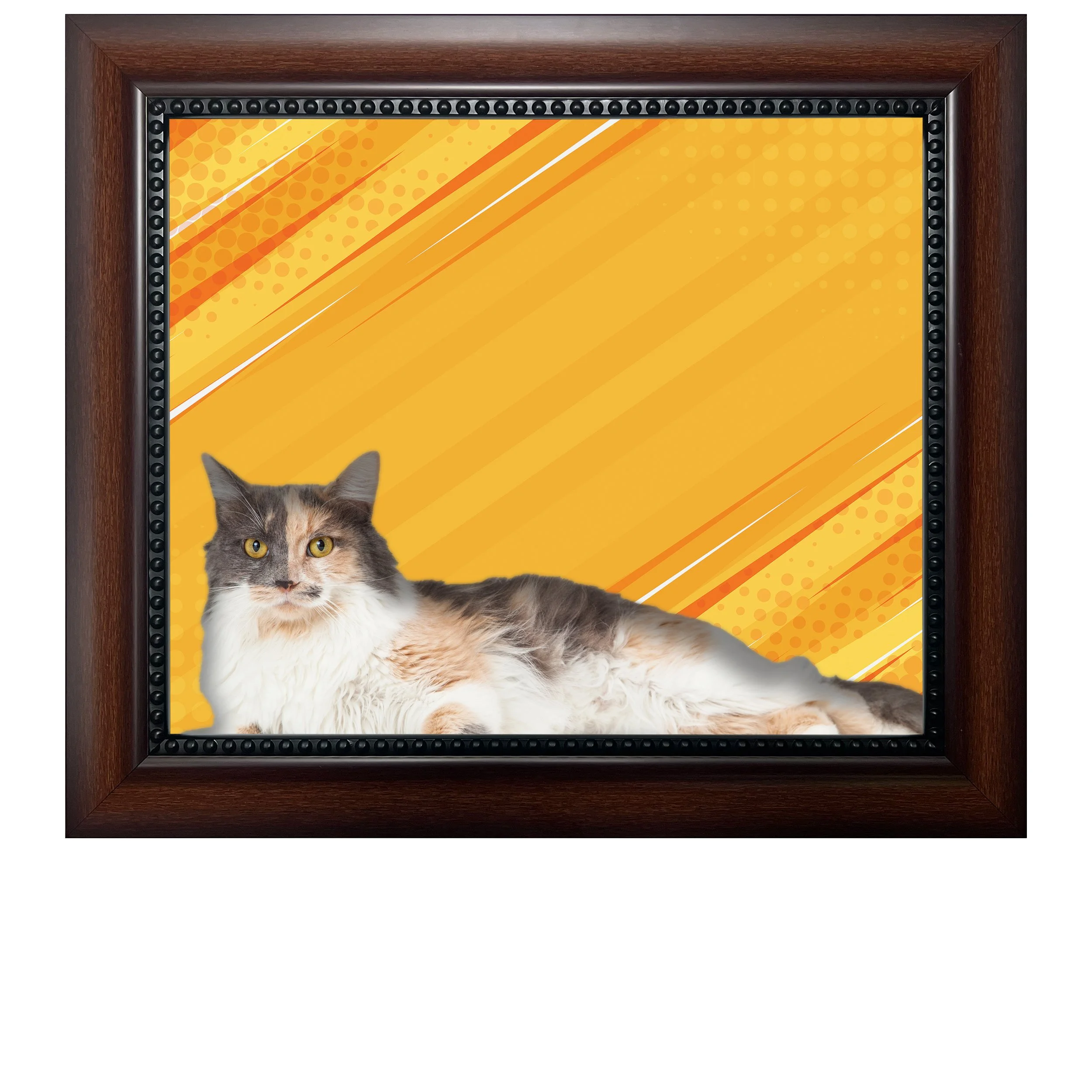 Yellow-Speed-CAT.jpg