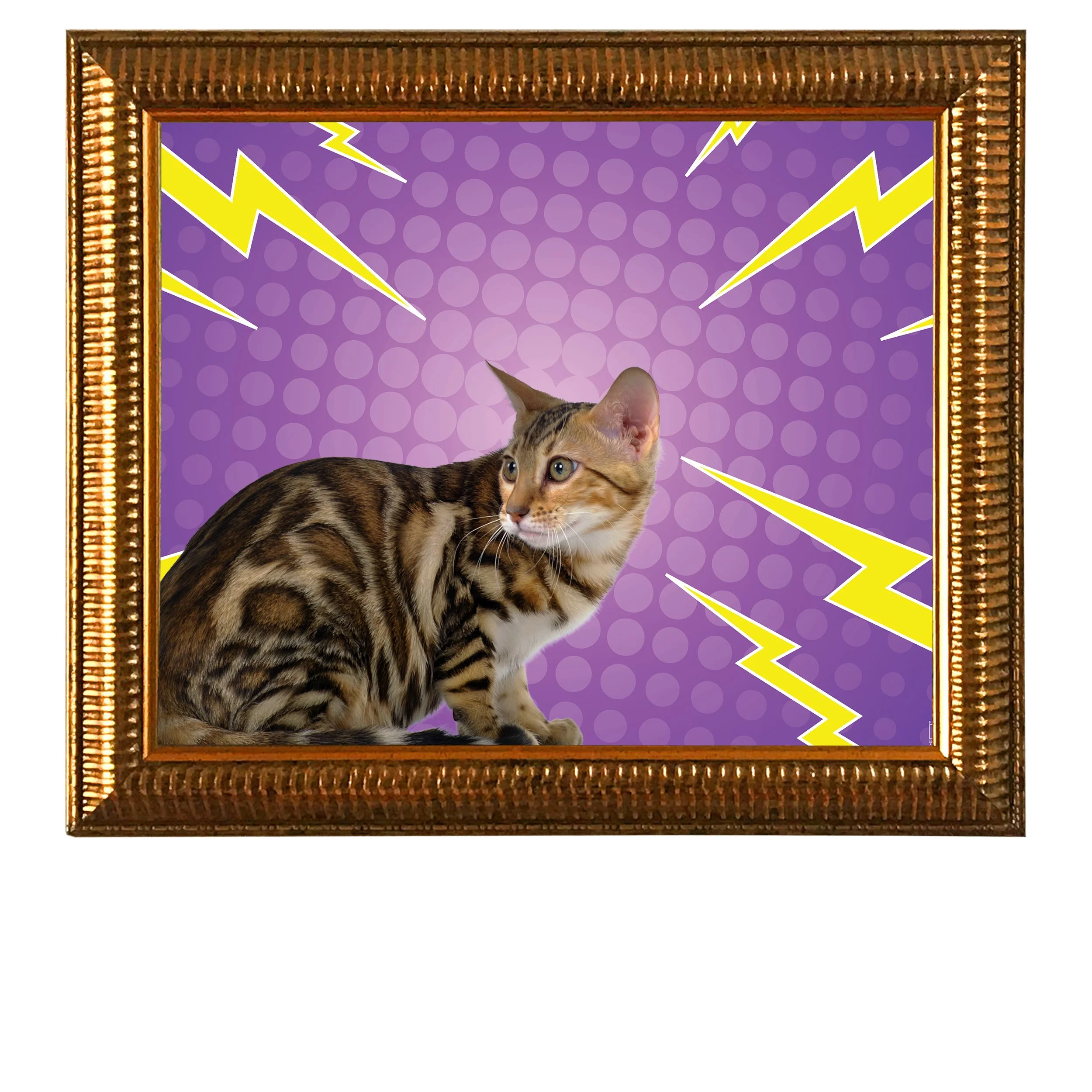 Purple-Lightning-CAT.jpg