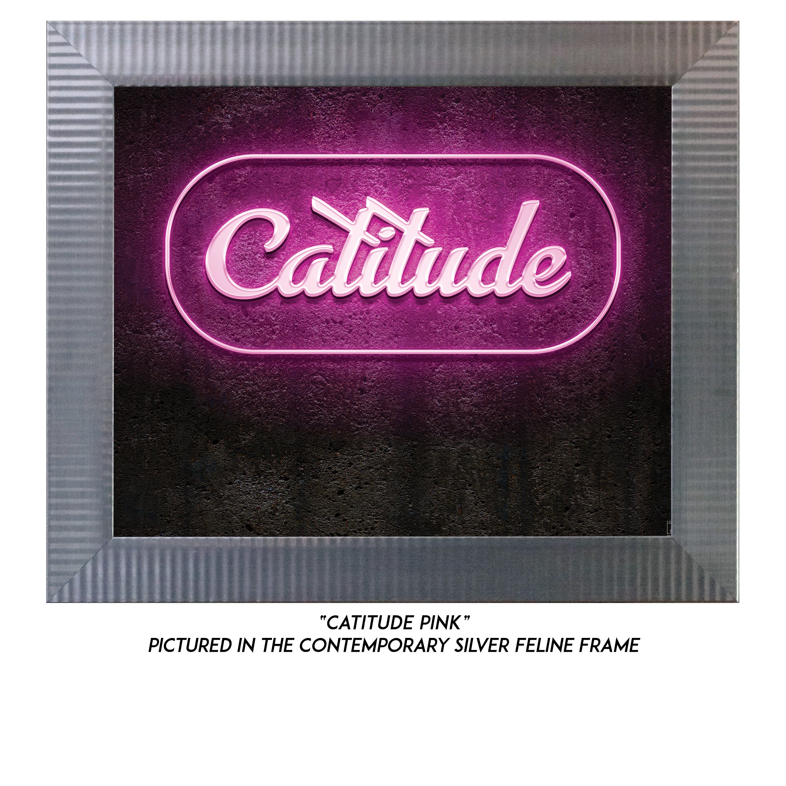Catitude-Pink-S.jpg