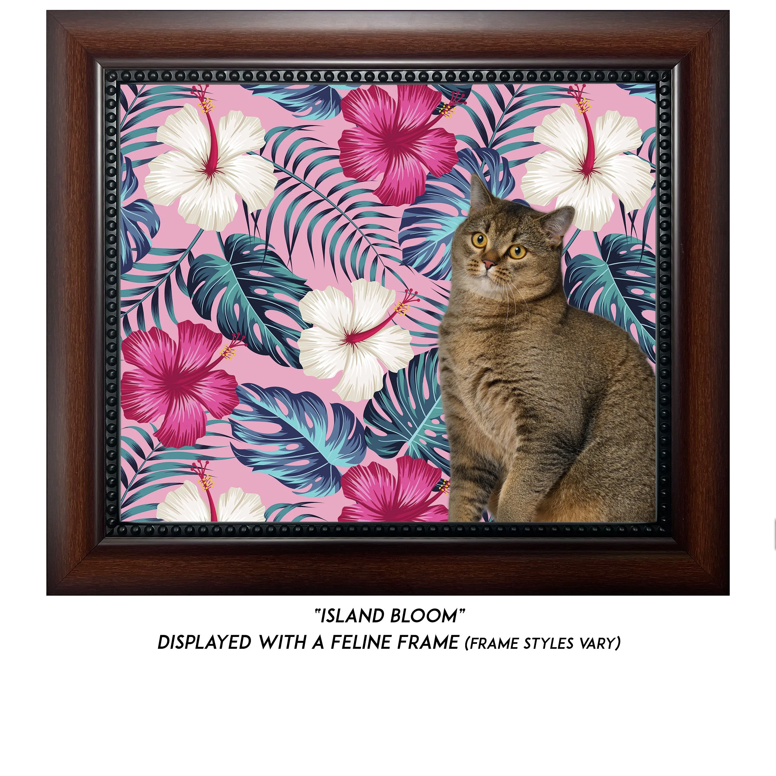 Island-Bloom-CAT.jpg