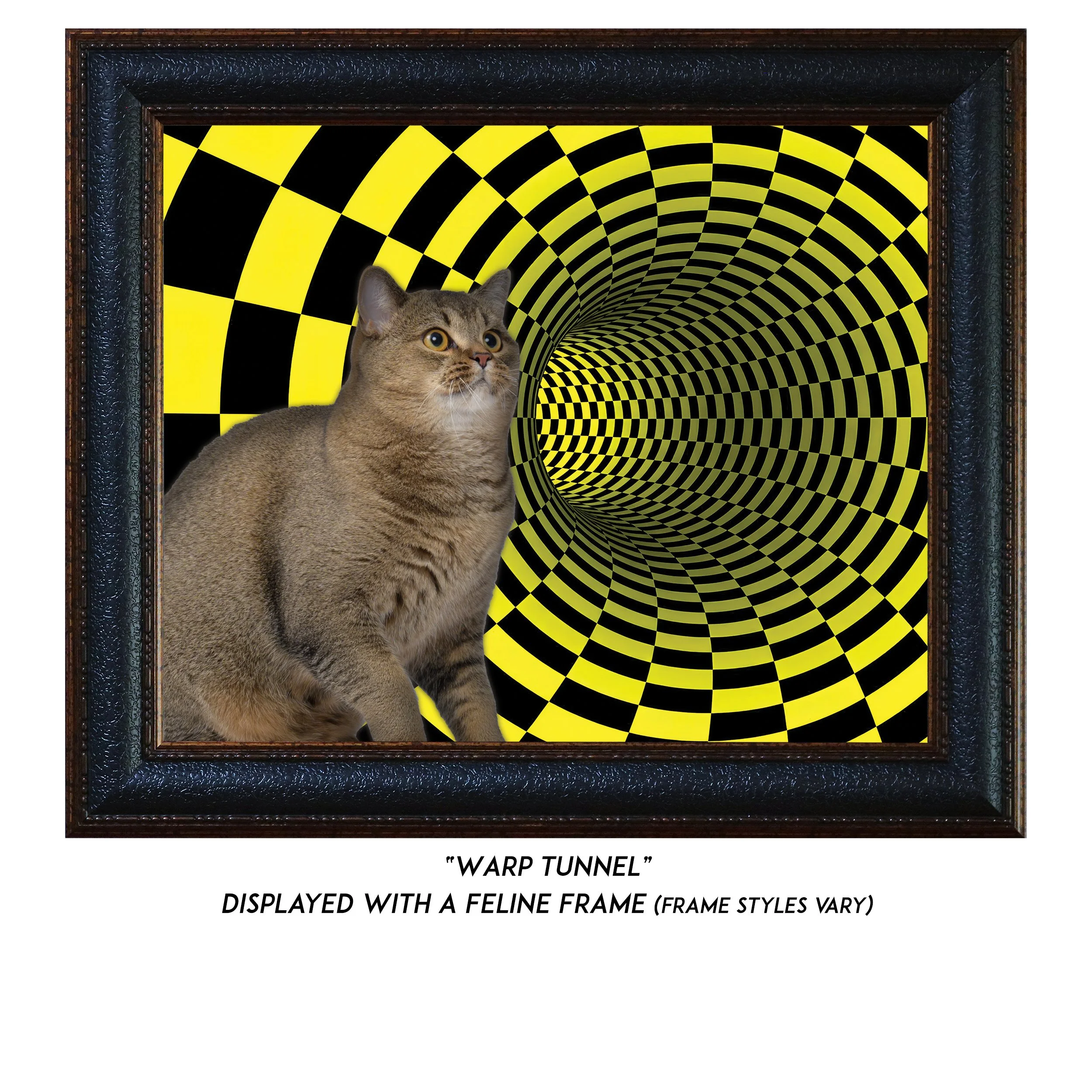 Warp-Tunnel-CAT.jpg