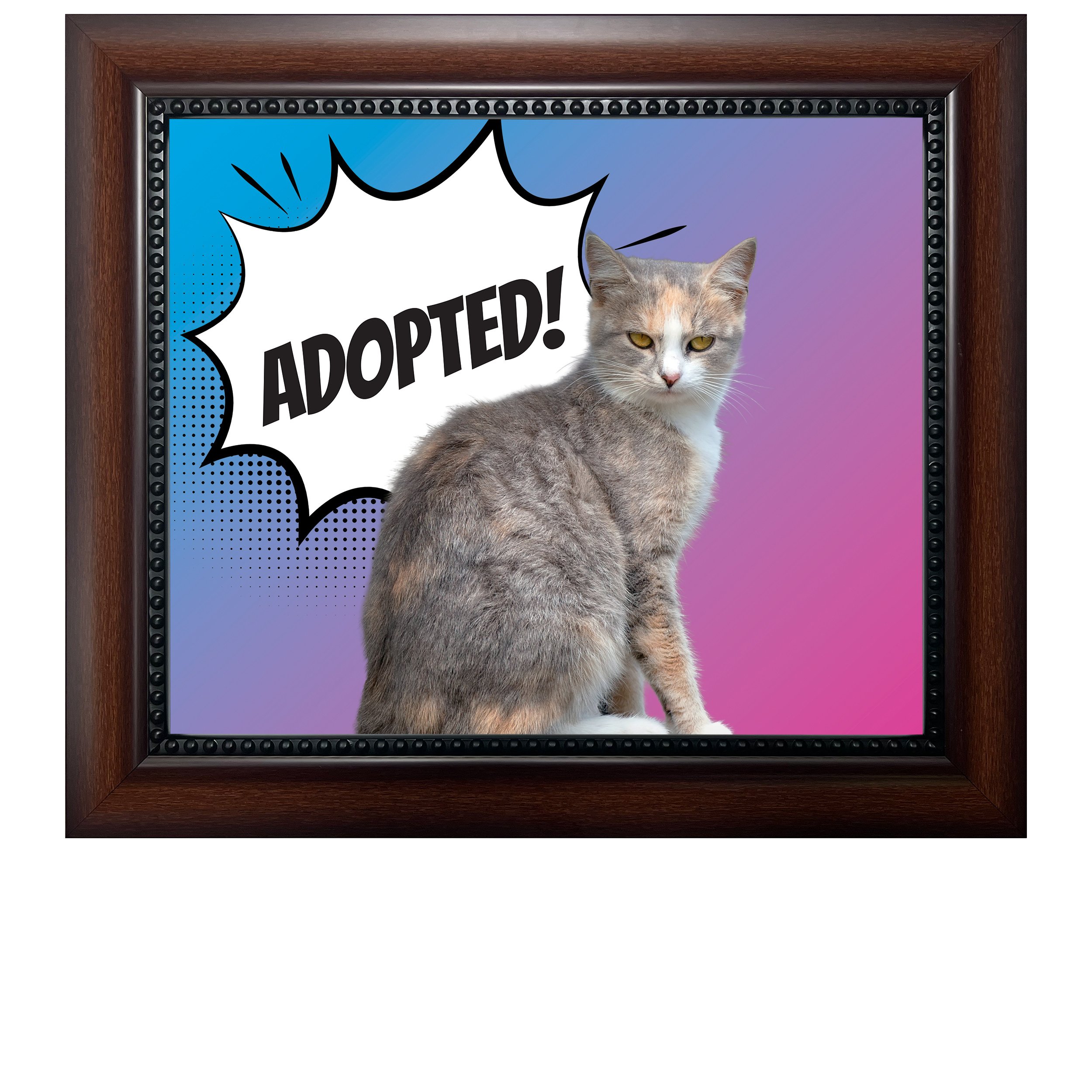 Adopted-(Blue-Pink-Gradient)-CAT.jpg