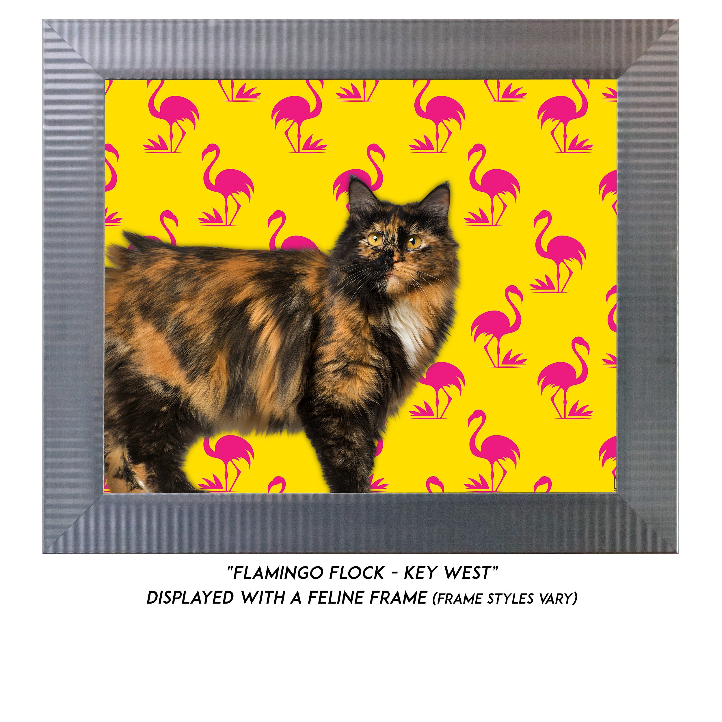 Flamingo-Flock-Key-West-CAT.jpg
