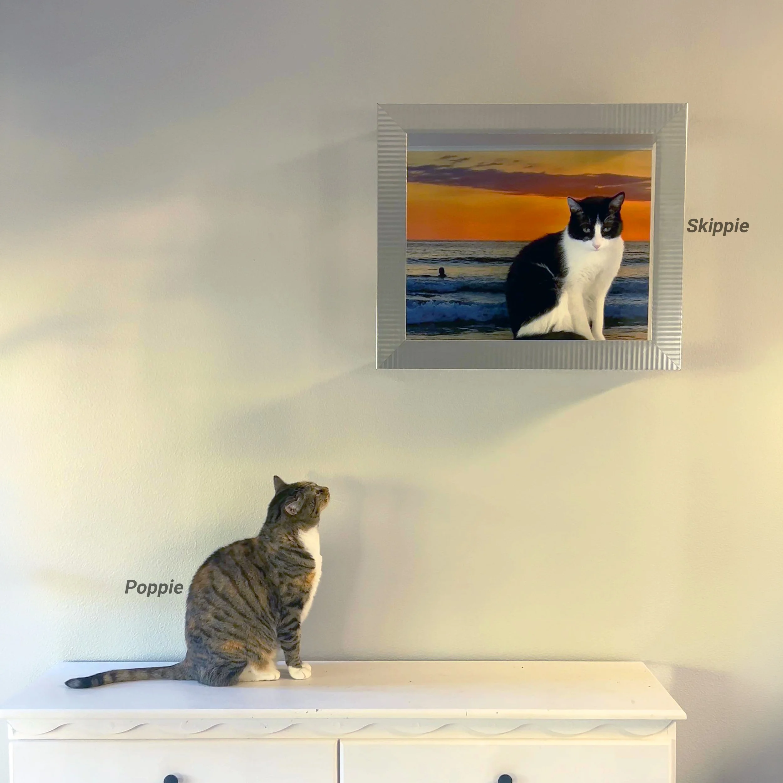 Poppie-and-Skippie-1.jpg