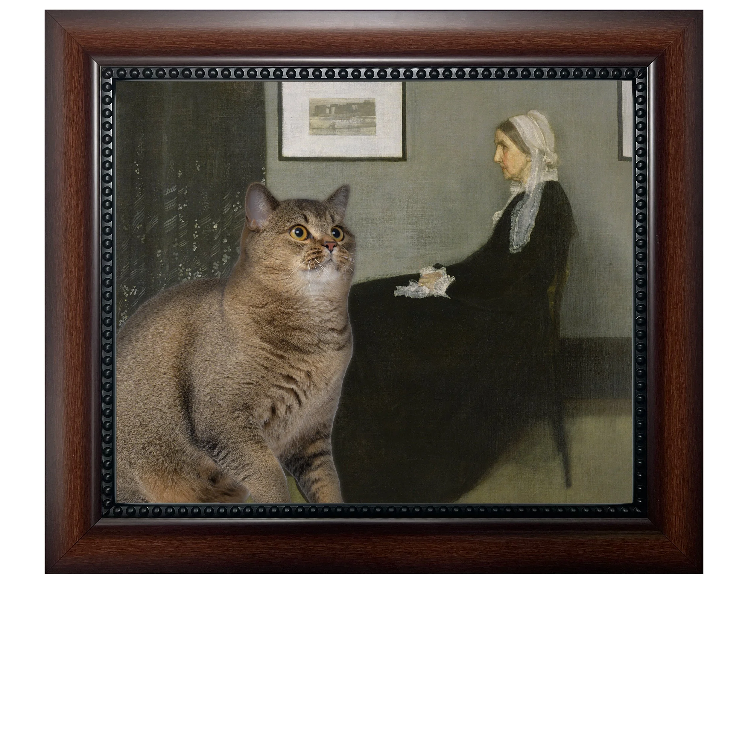 Girl with a Pearl Earring — Frame Your Feline