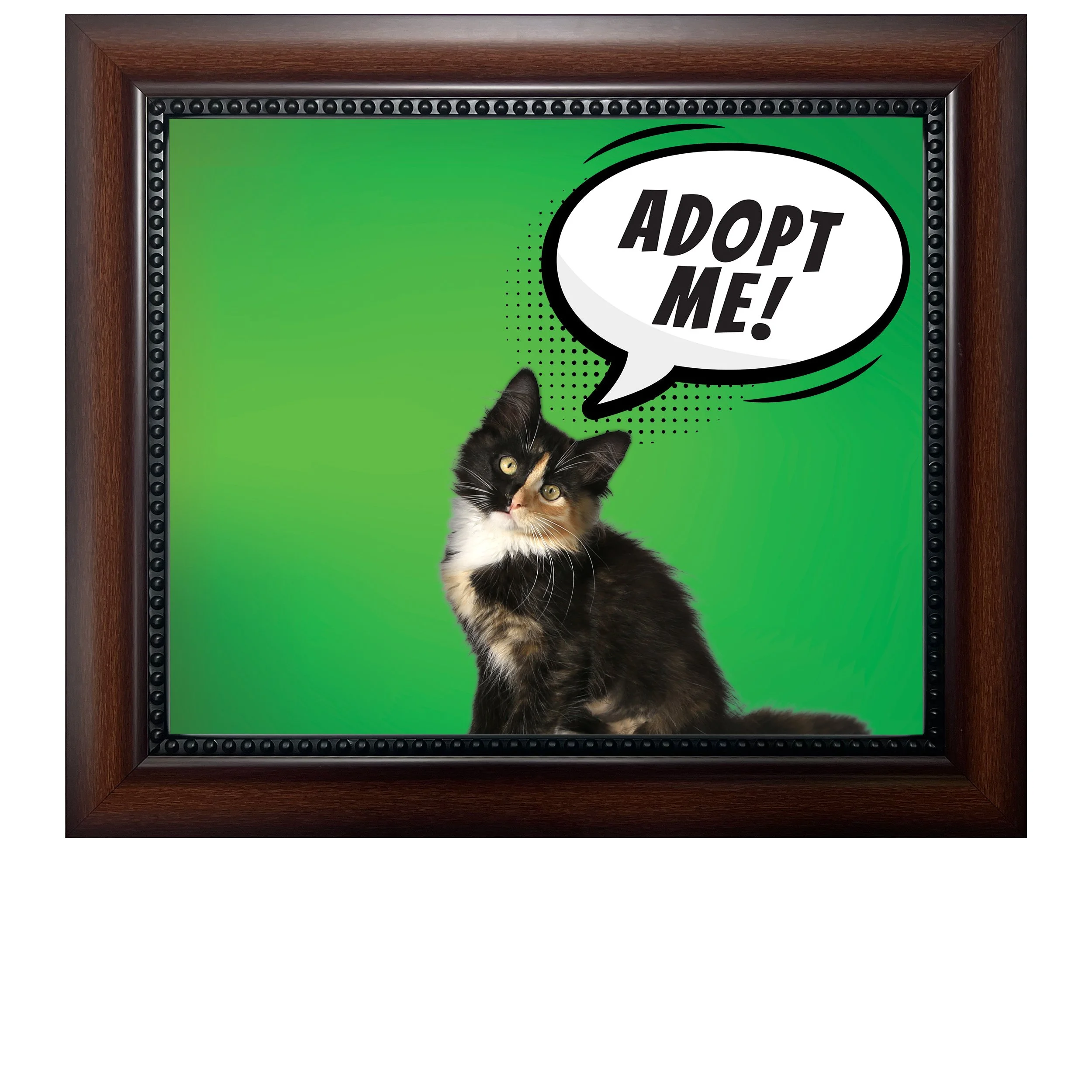 Adopt-Me-(Green-Gradient)-CAT.jpg