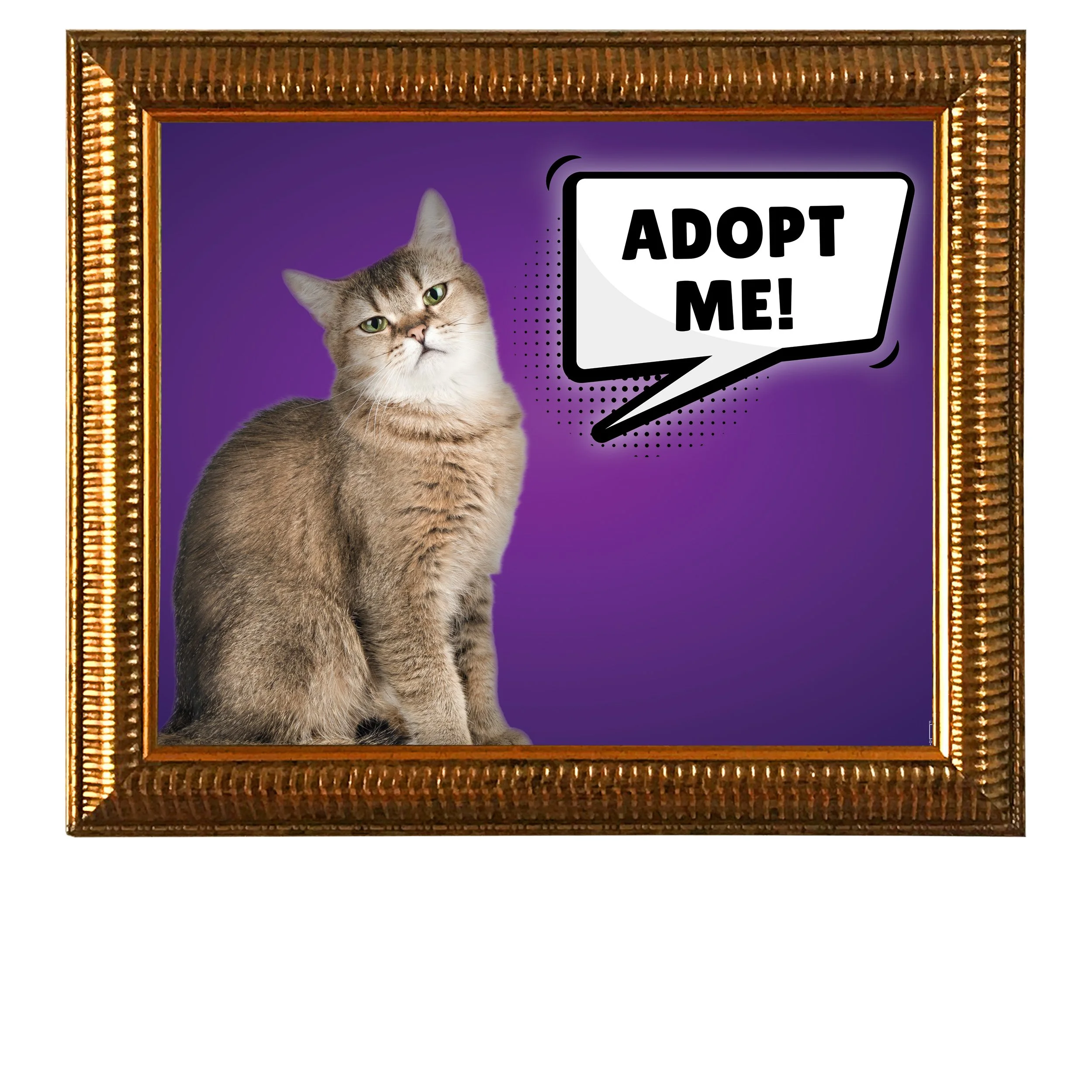 Adopt-Me-(Purple-Gradient)-CAT.jpg