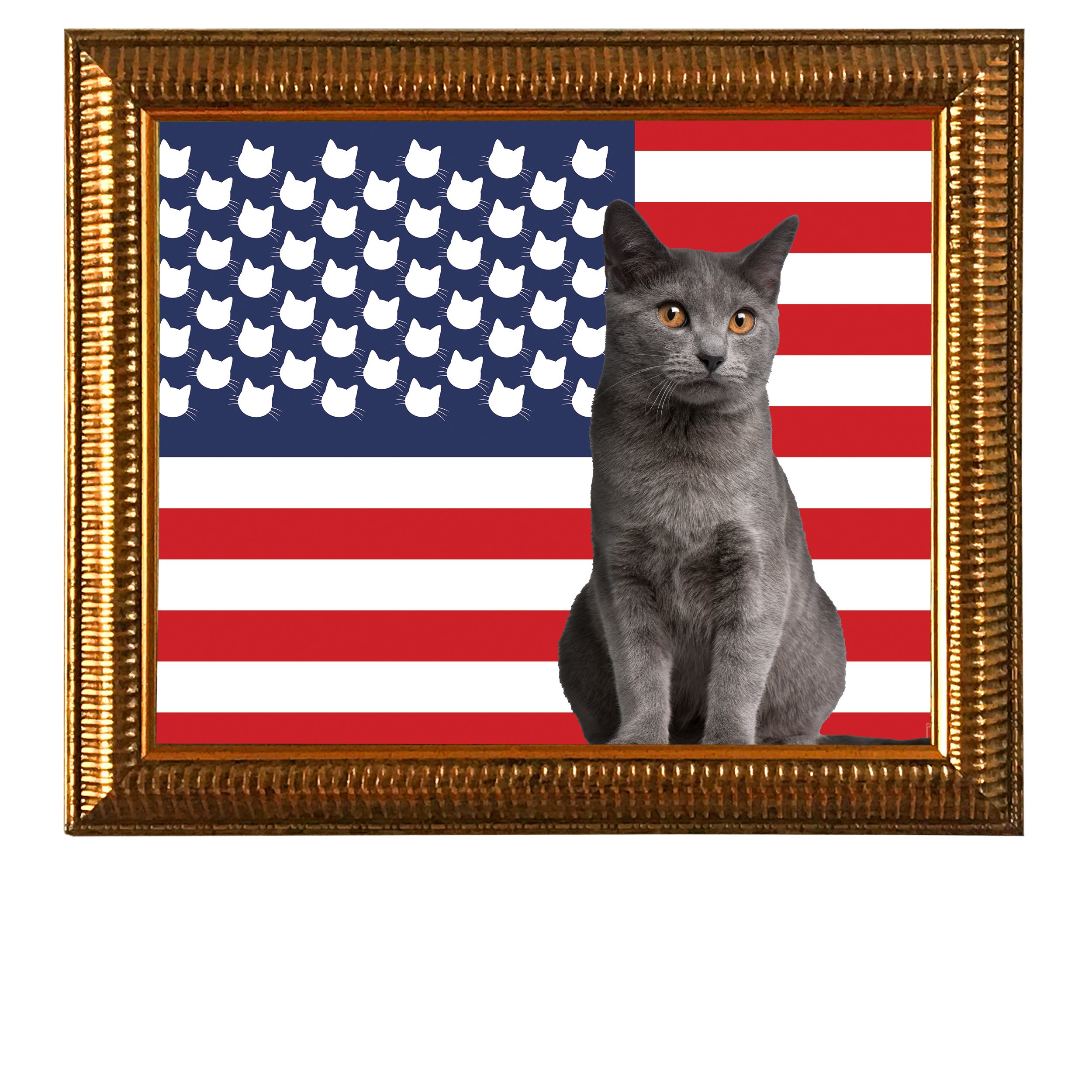 Cat-Face-USA-Flag-CAT.jpg