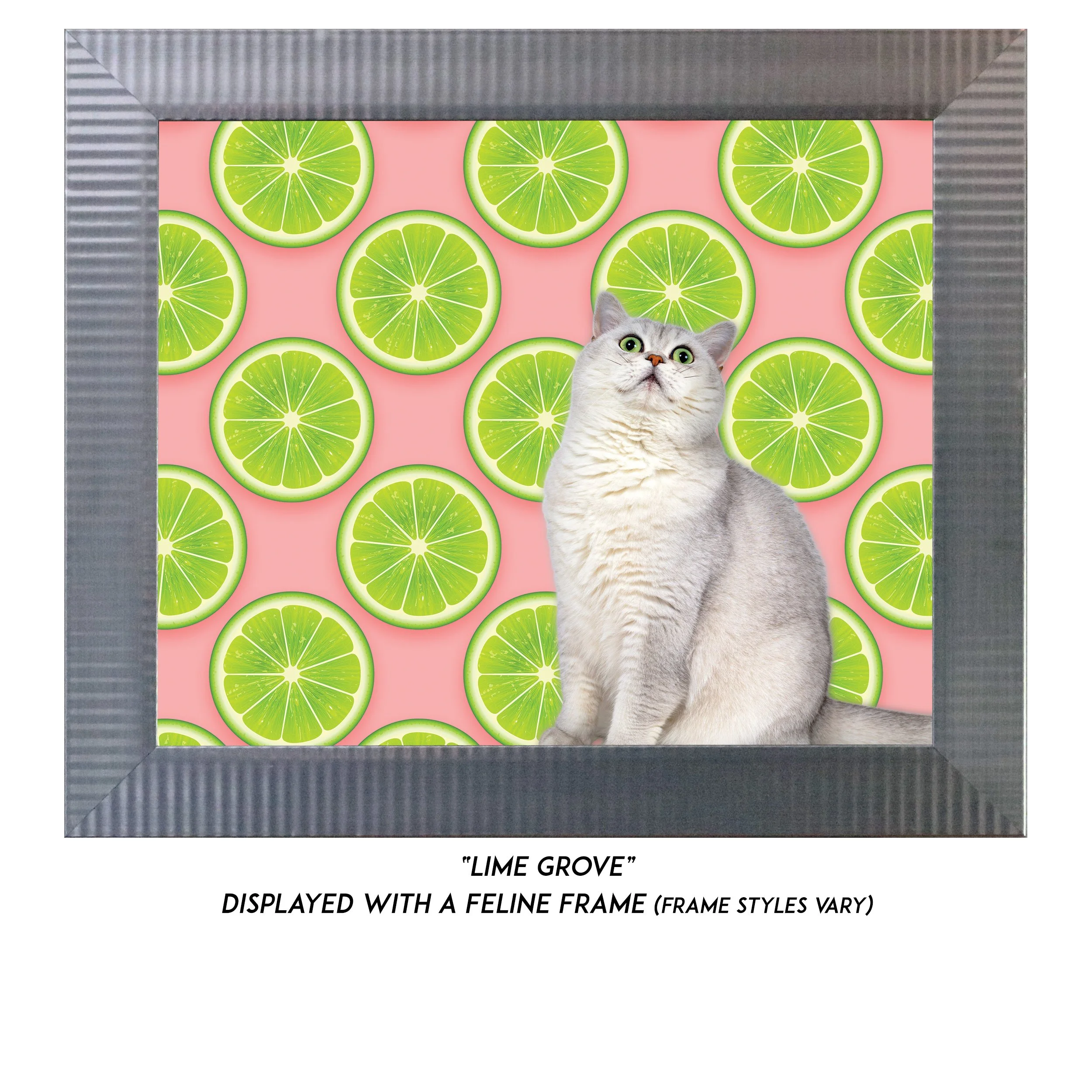 Lime-Grove-CAT.jpg