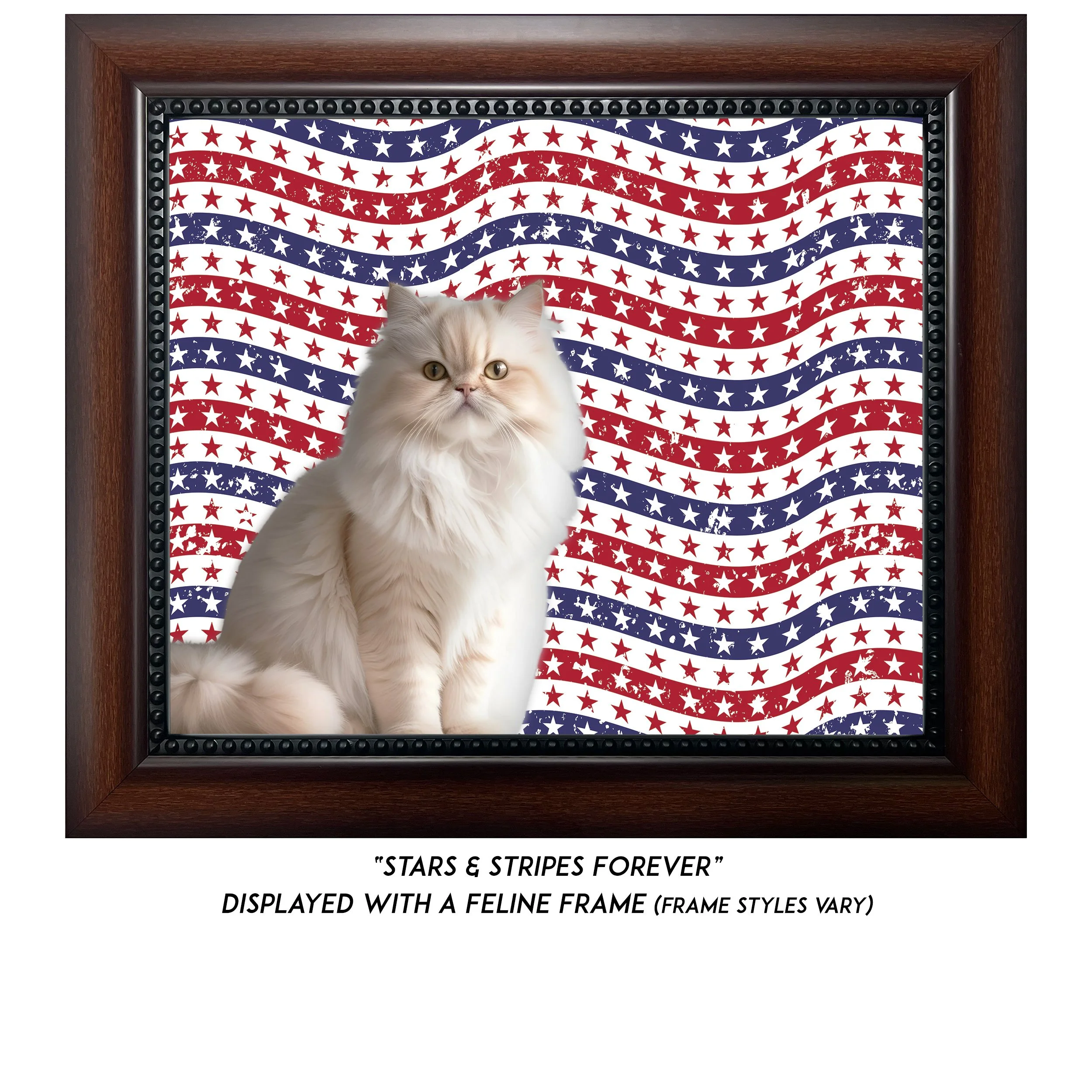 Stars-And-Stripes-Forever-CAT.jpg