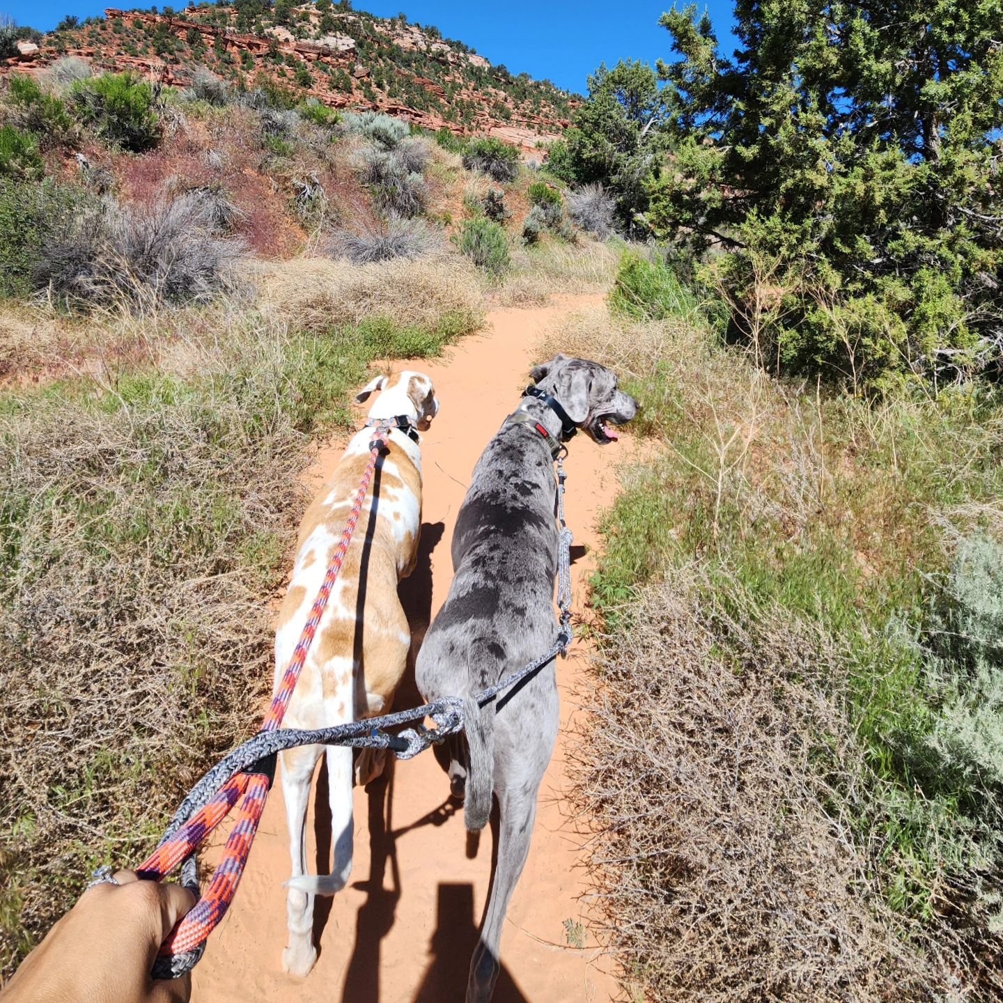 This weekend, I'm really looking forward to disconnecting and getting back to nature. There's nothing quite like fresh air, the quiet company of animals, giggling children,  and the soothing presence of Mother Nature to help me ground my soul. It's m